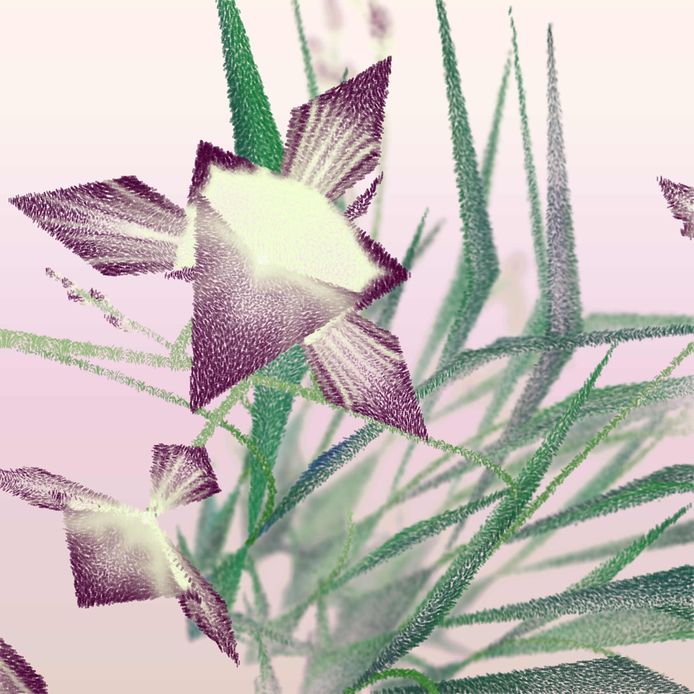 Cattleya preview 6