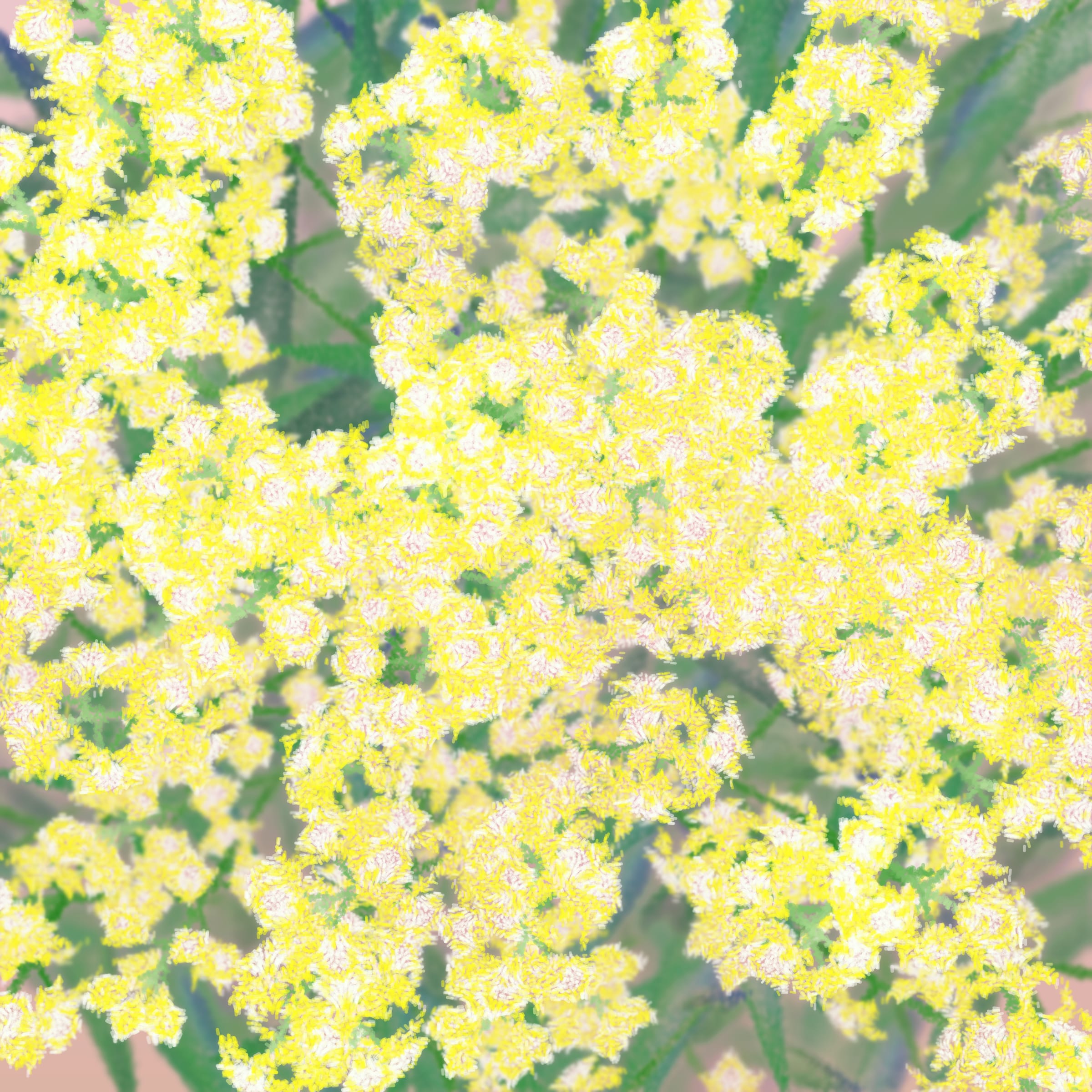 Featured token for: Cattleya