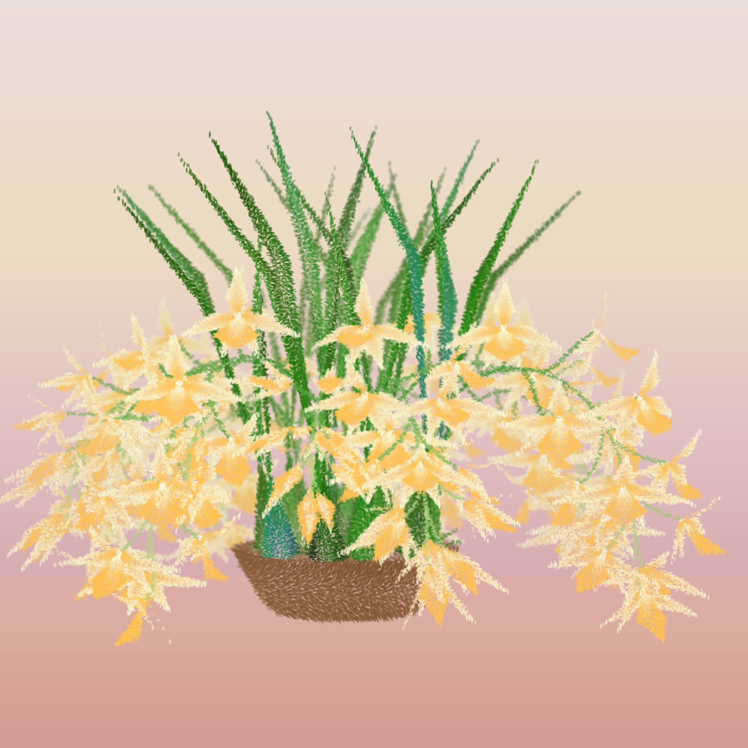 Featured token for: Cattleya