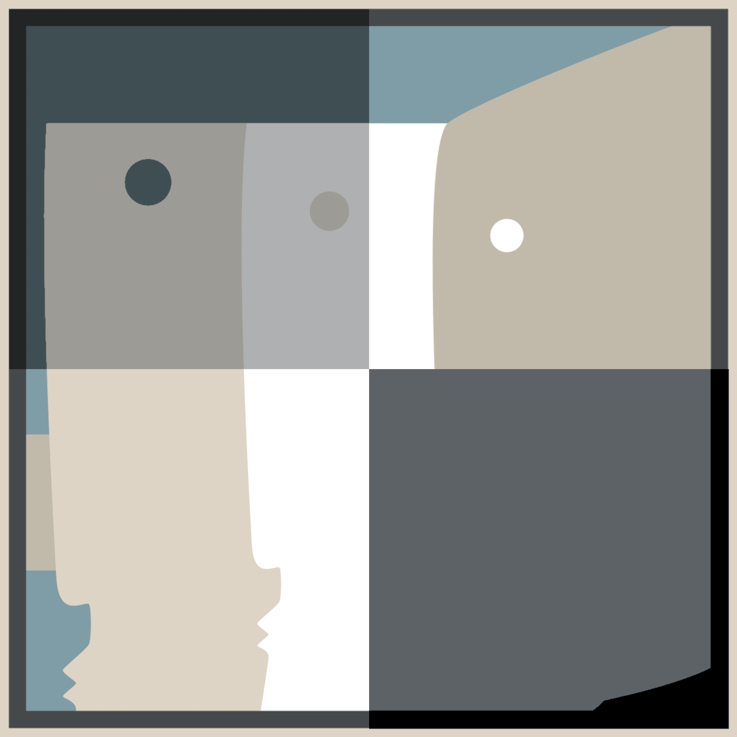 Faceless #311000032