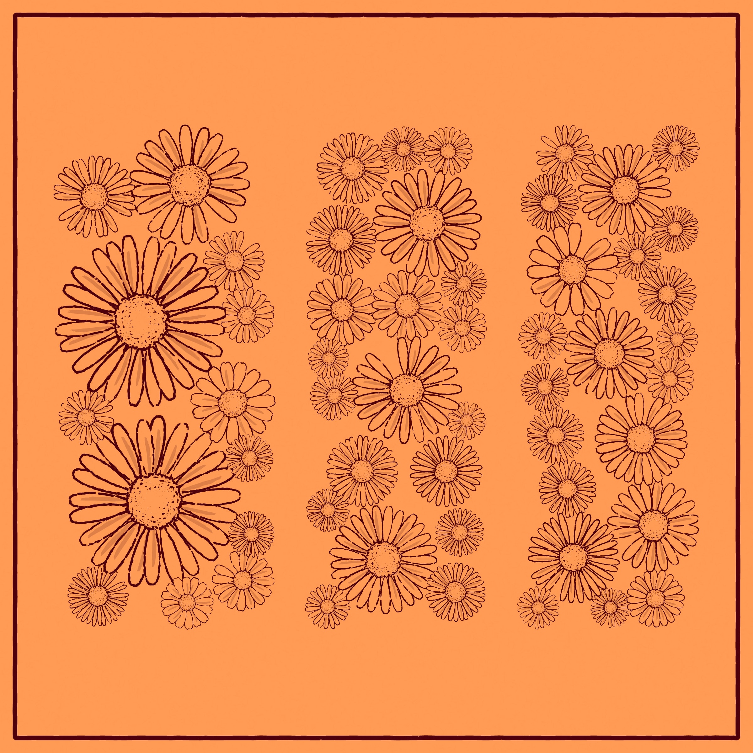 Daisies preview 5