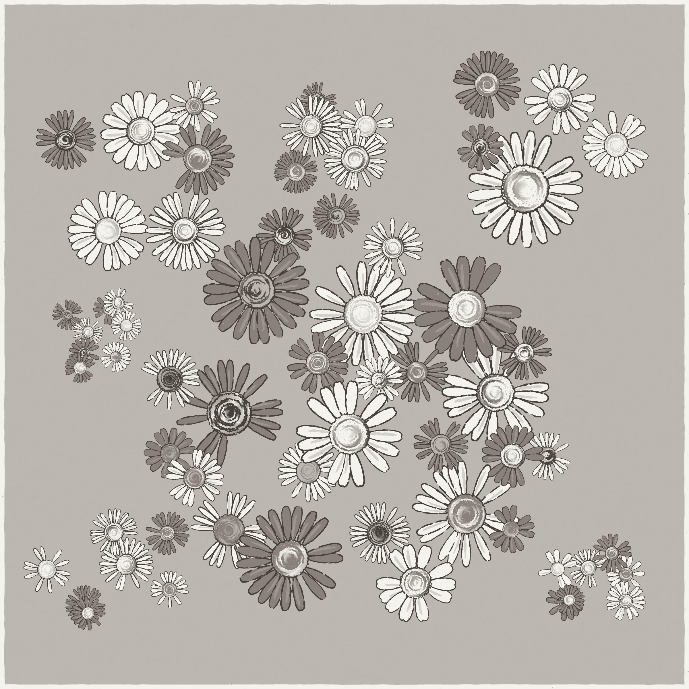 Daisies