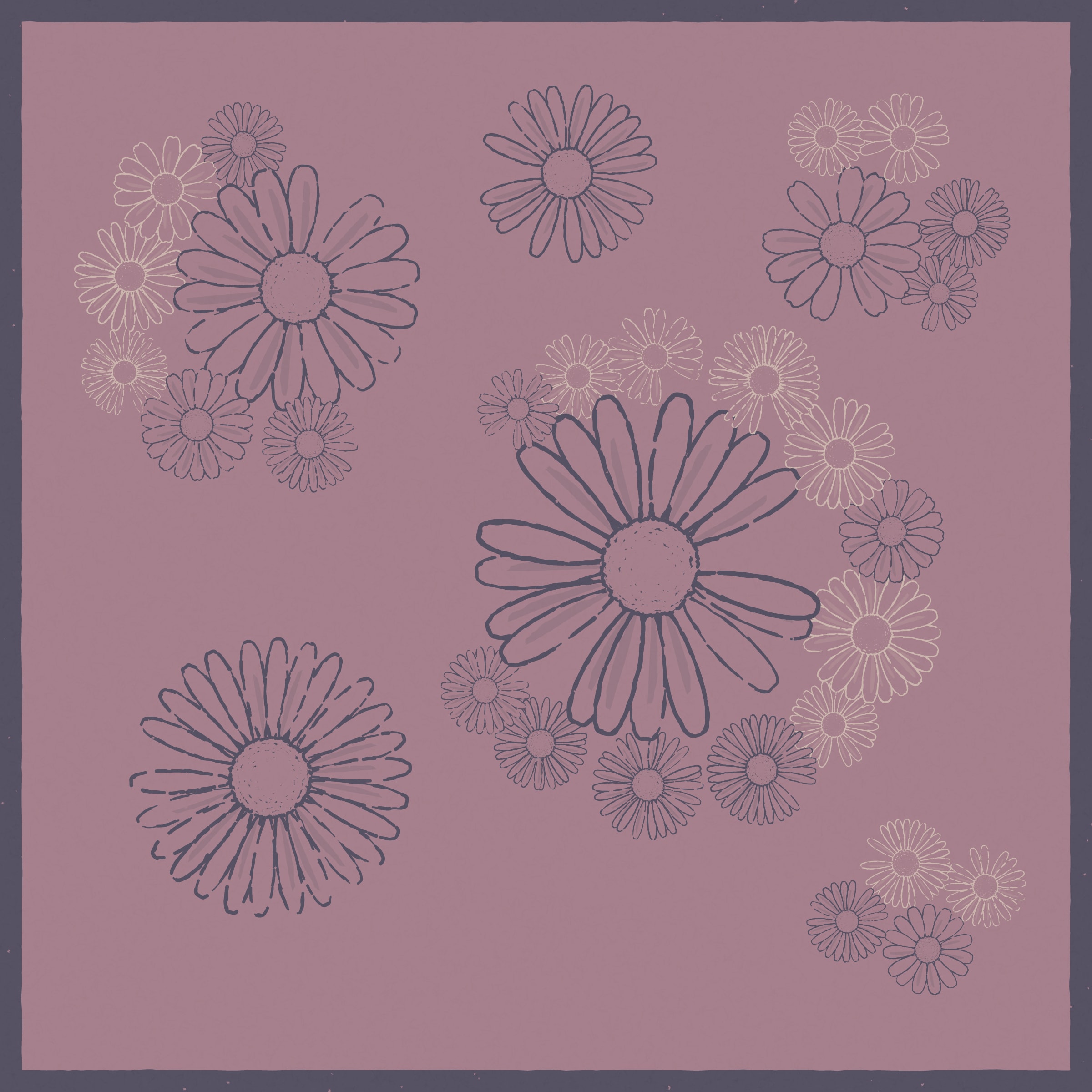 Daisies preview 4