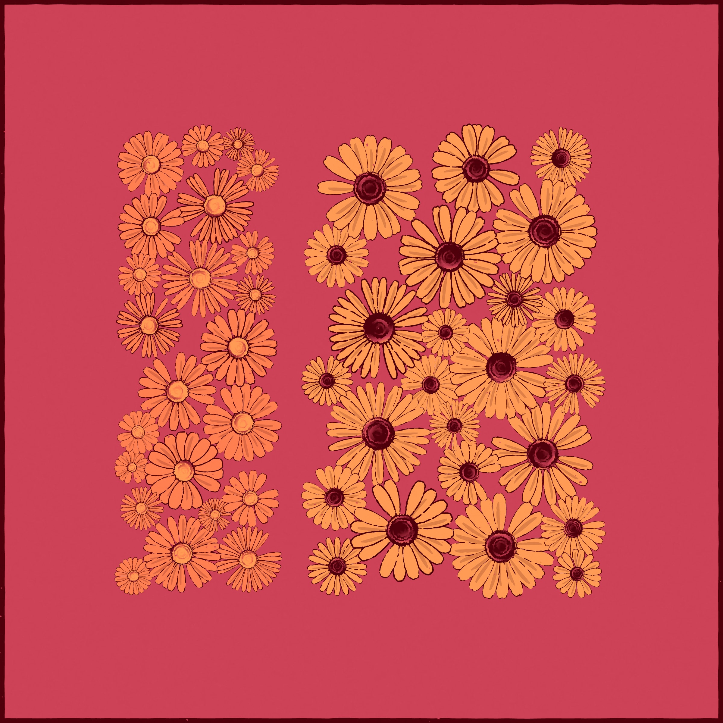 Daisies