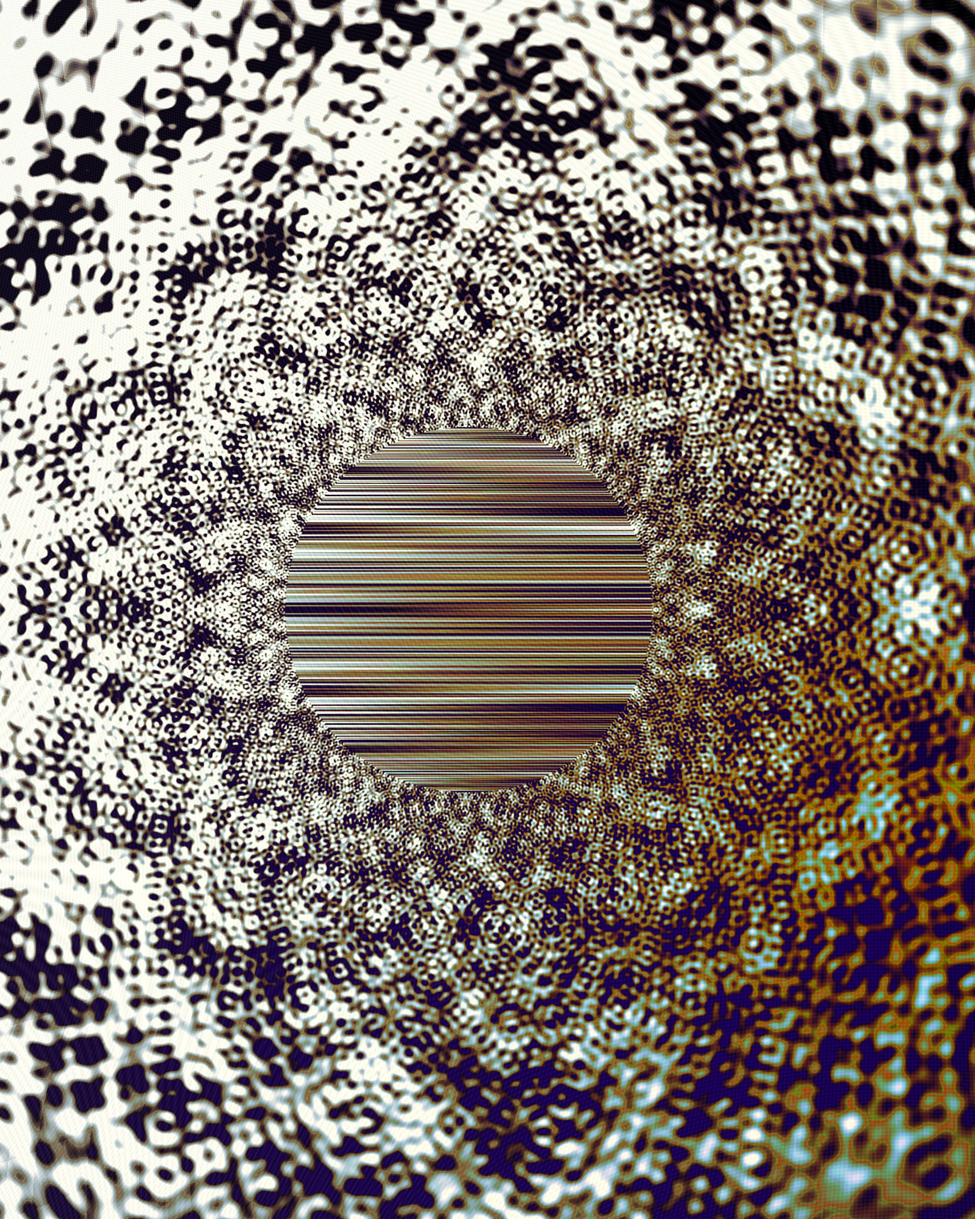 Photon's Dream #313000074