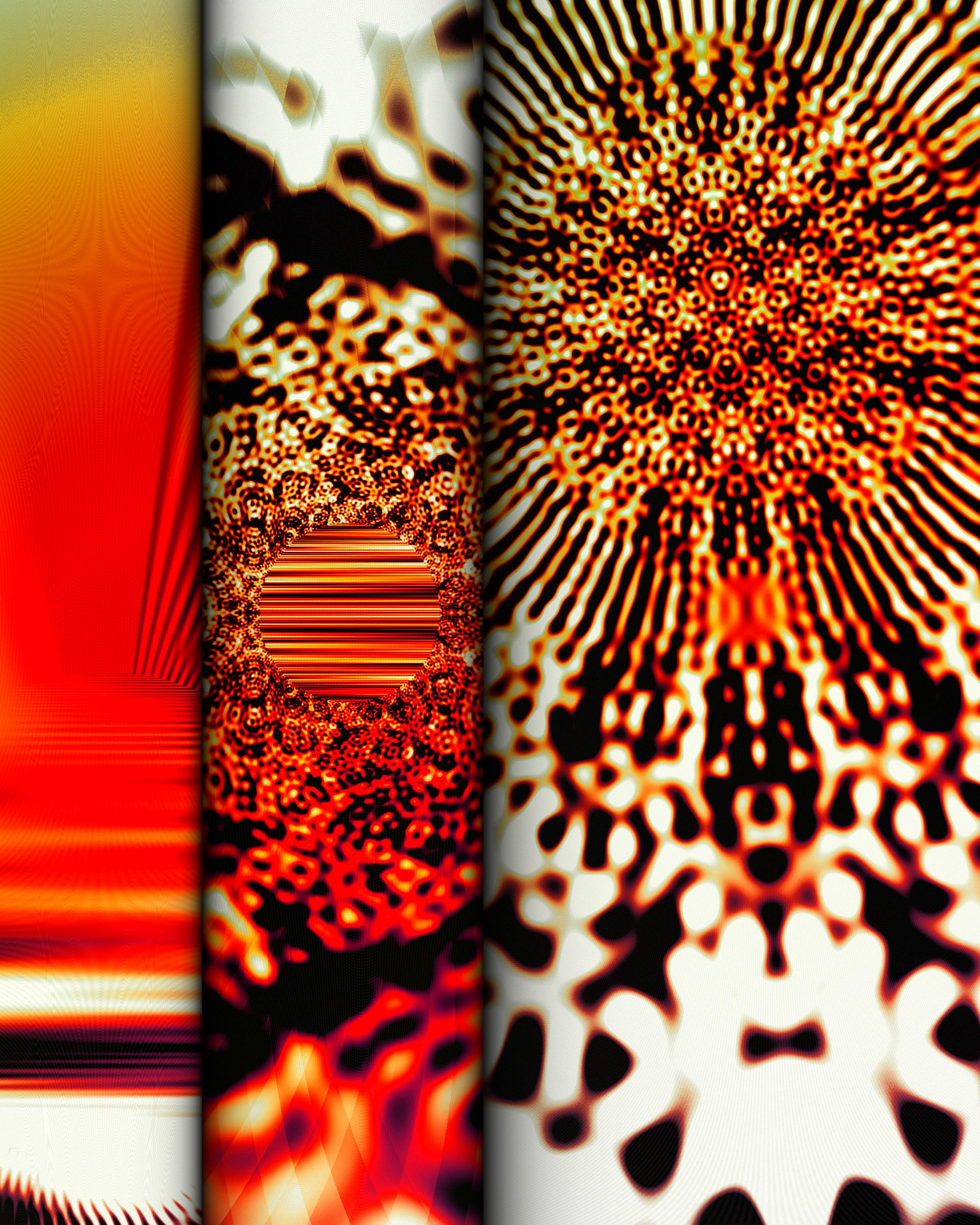 Photon's Dream #313000075