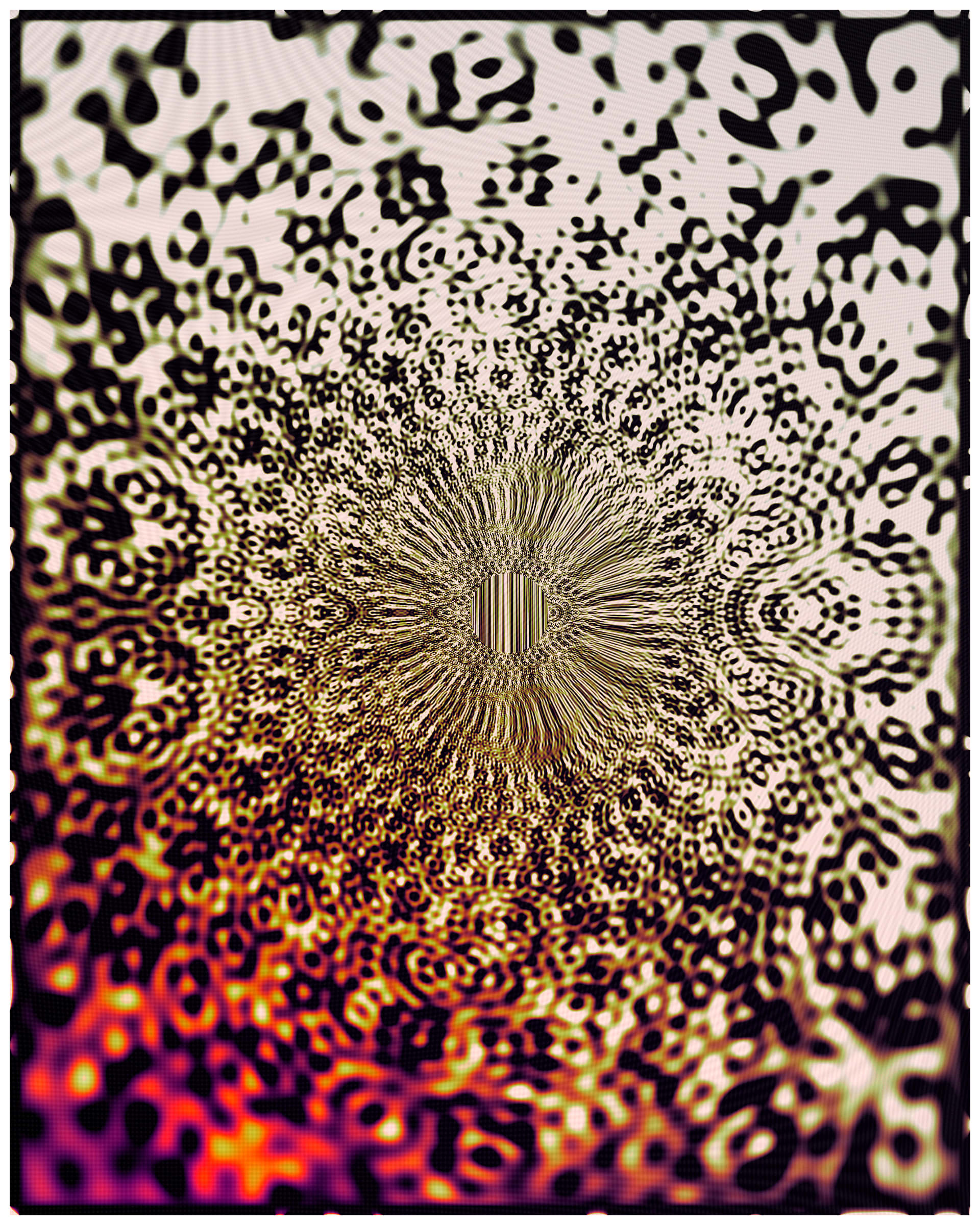 Photon's Dream #313000083