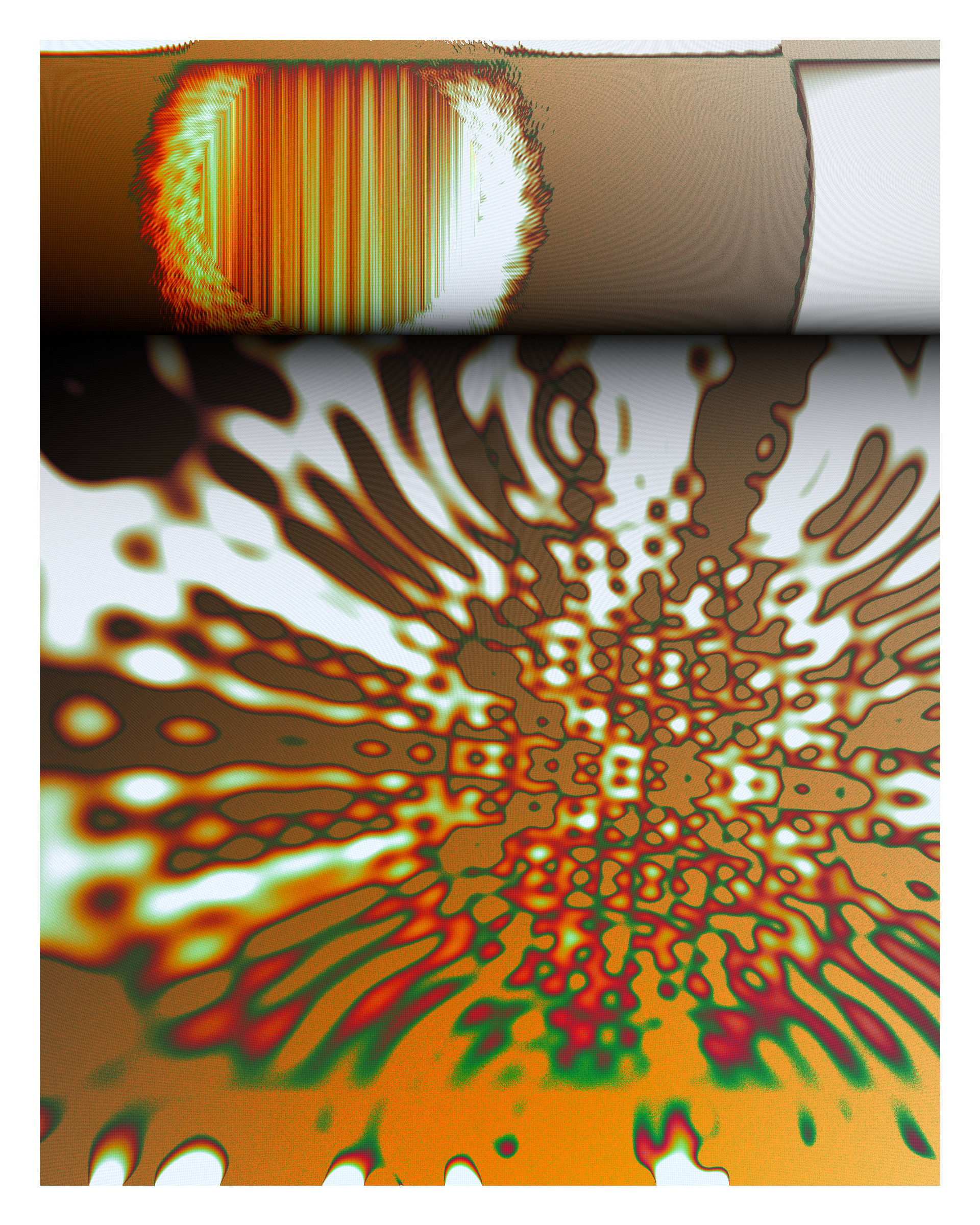 Photon's Dream #313000137