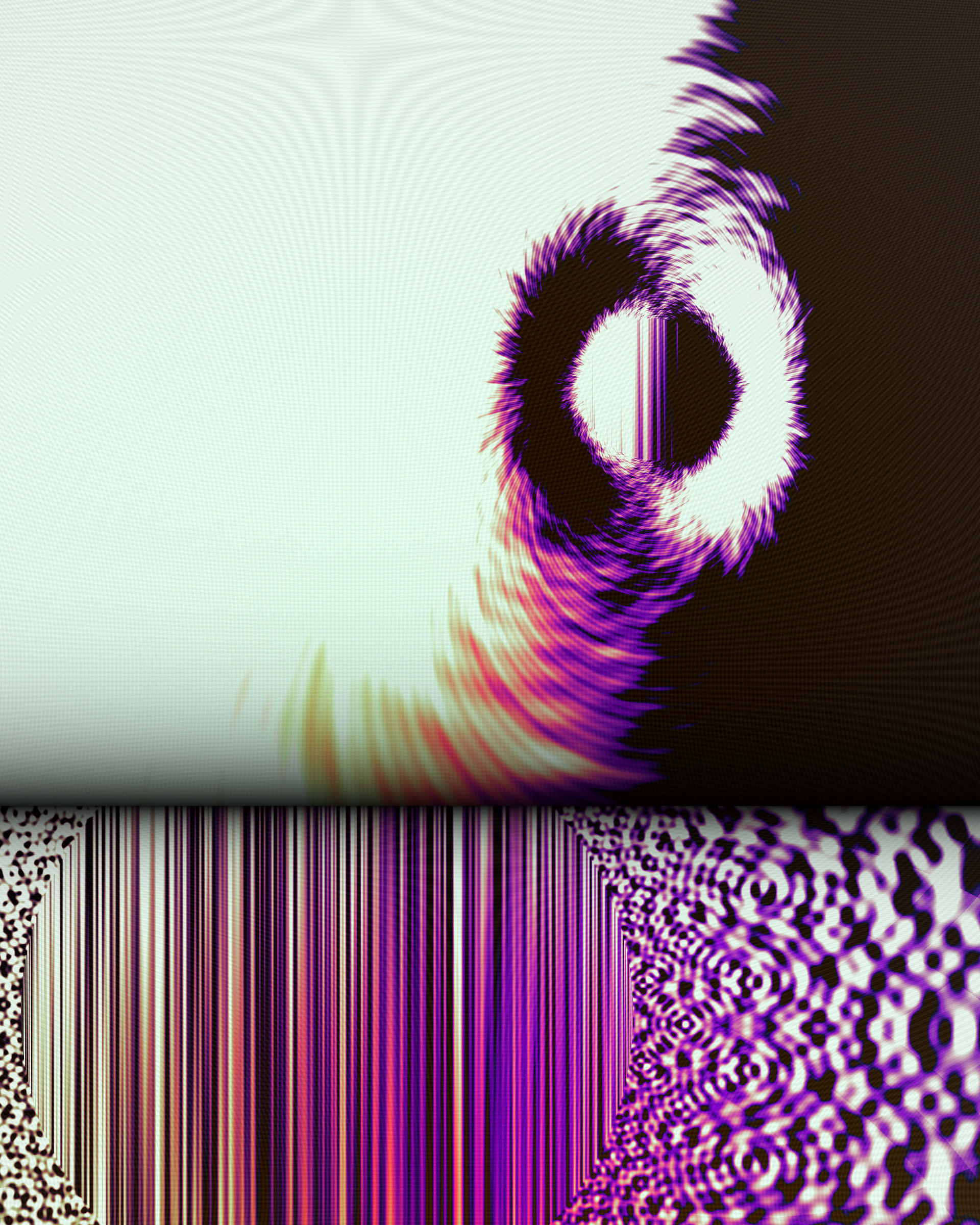 Photon's Dream #313000150