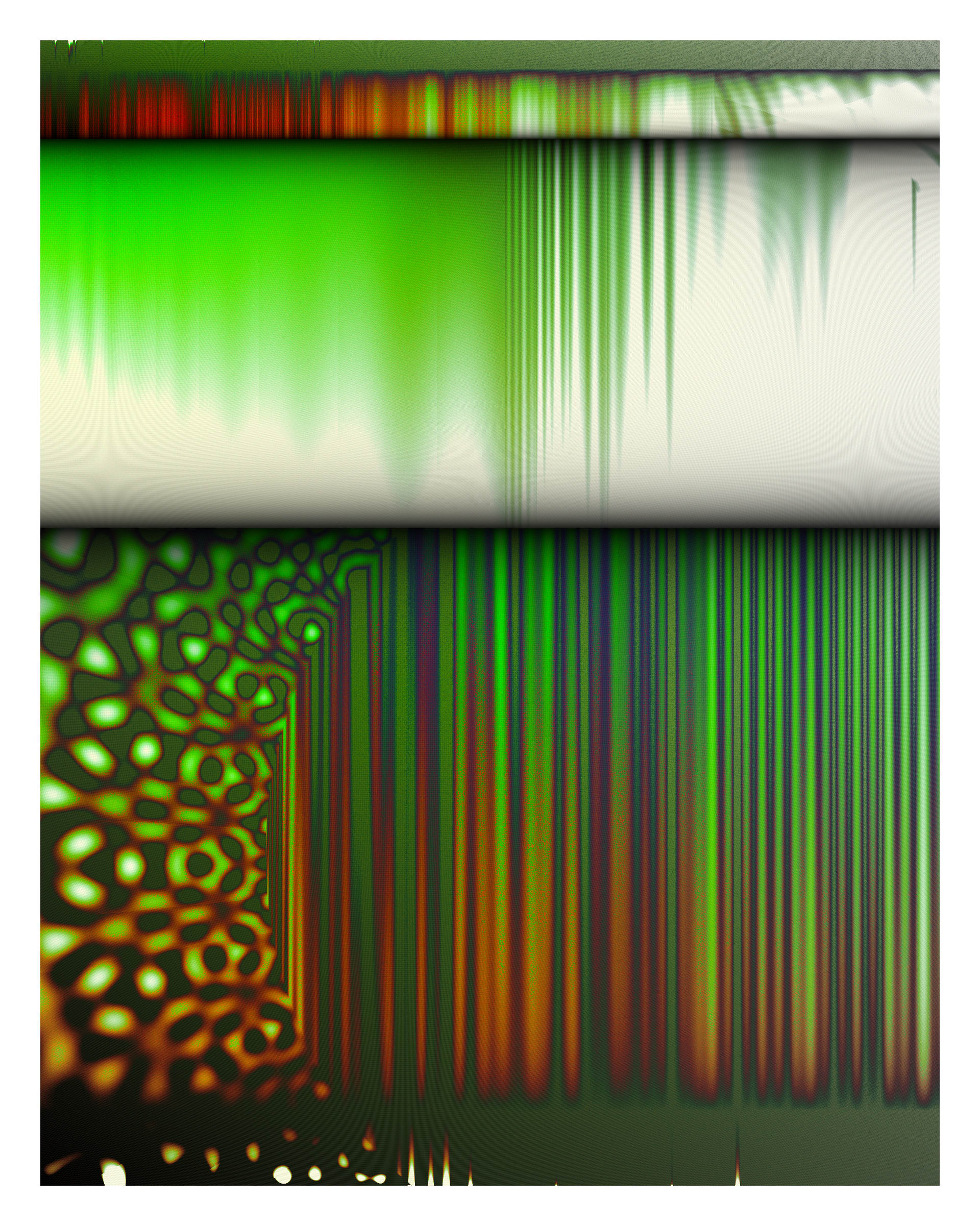 Photon's Dream #313000153