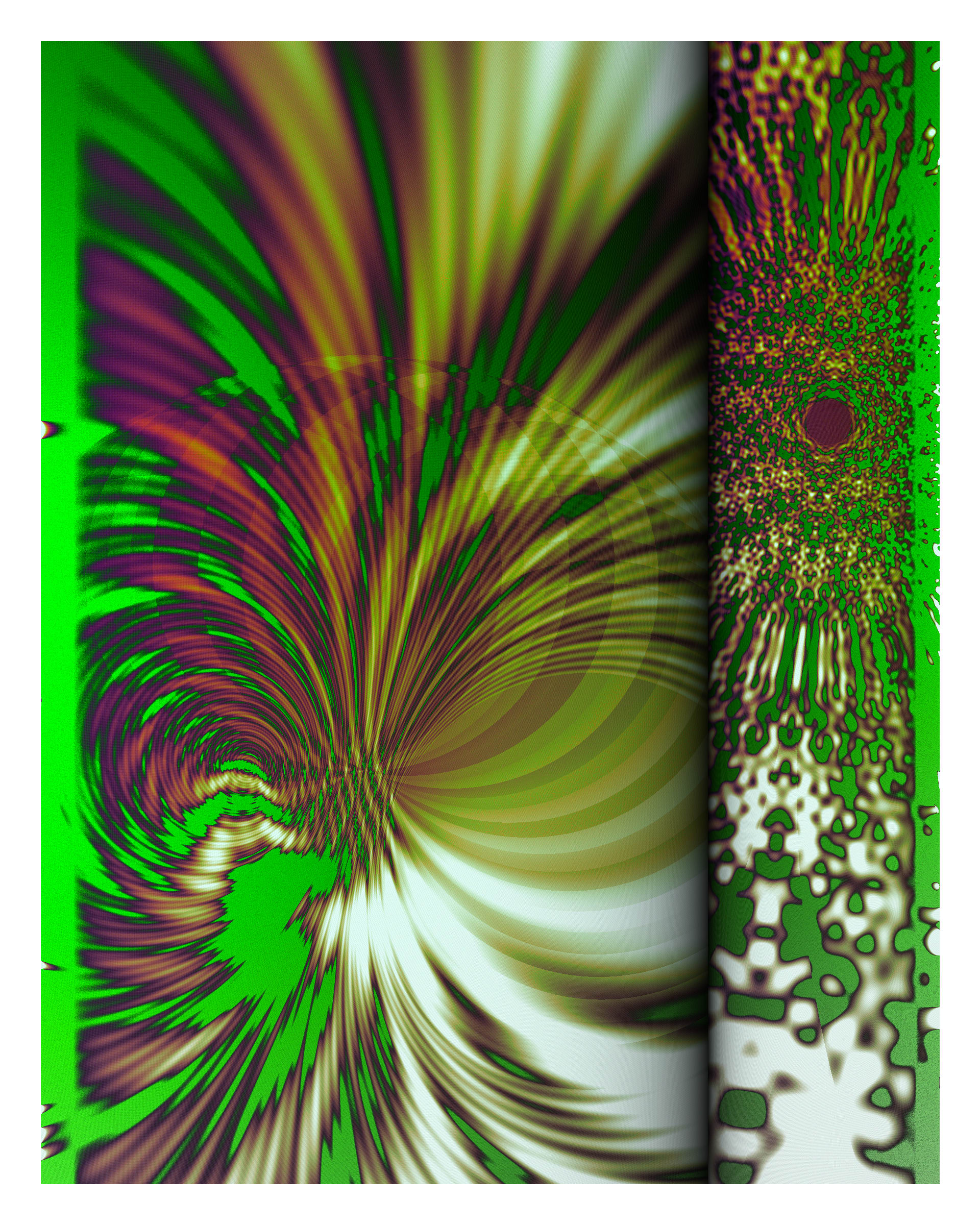 Photon's Dream #313000175