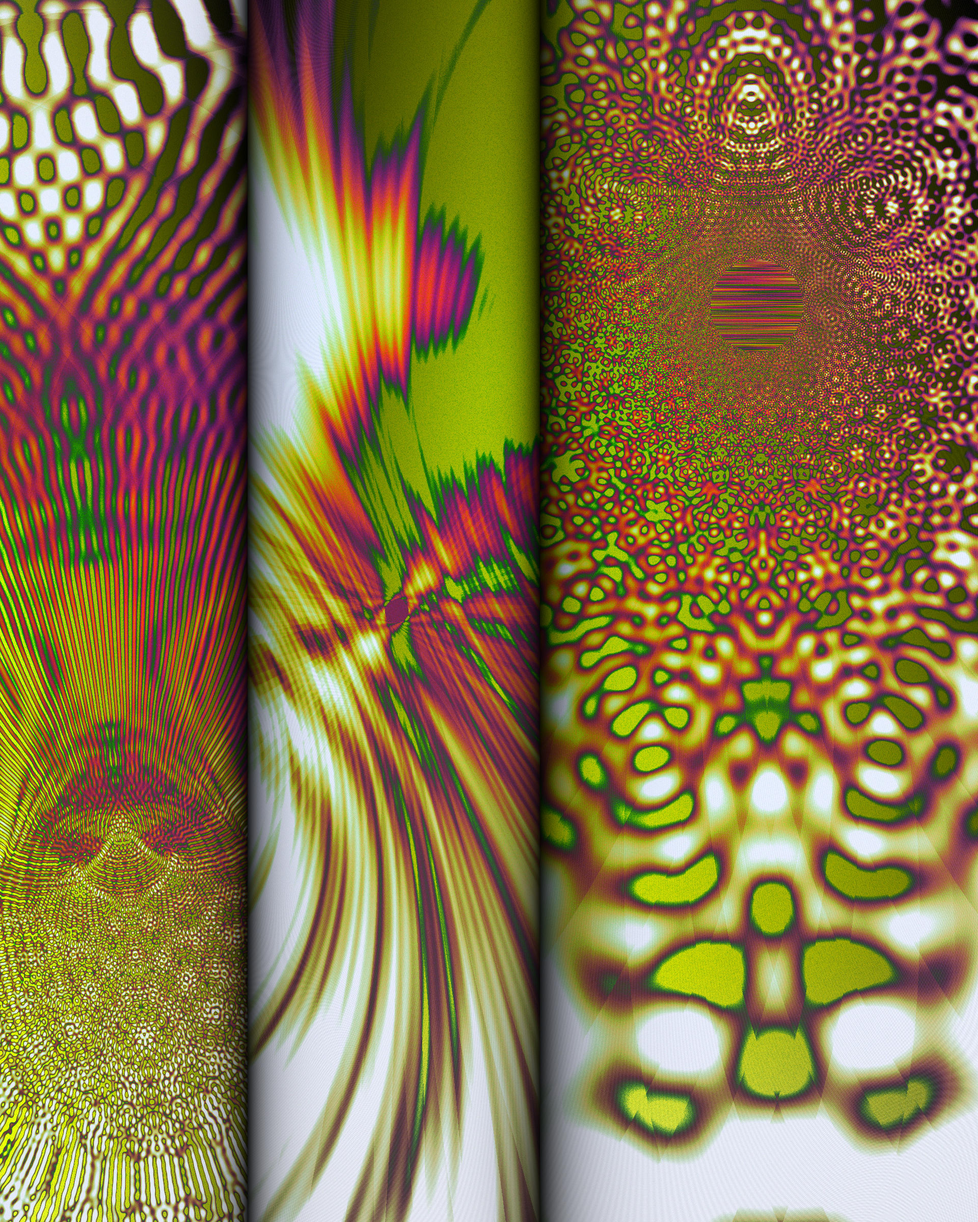 Photon's Dream #313000178