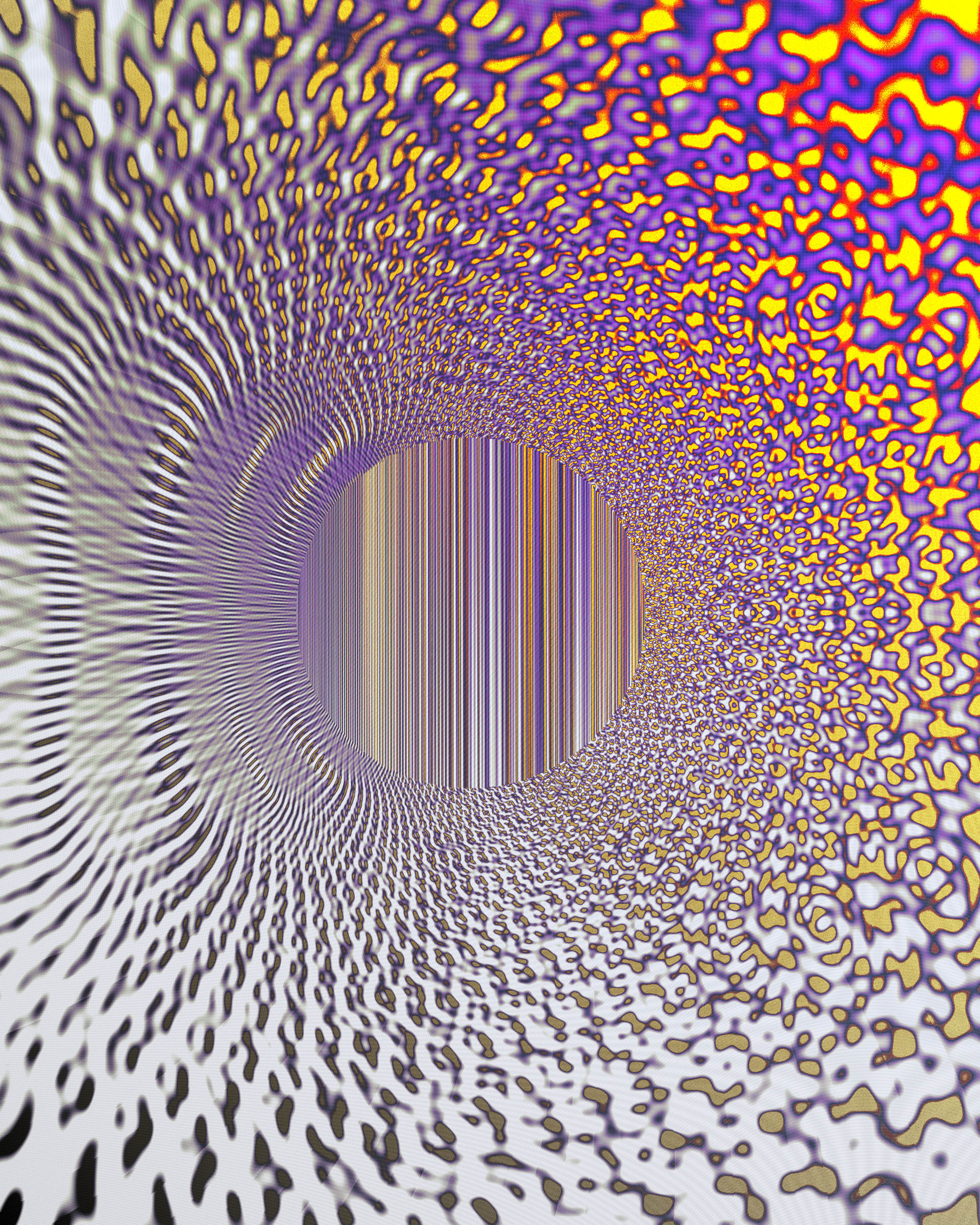 Photon's Dream #313000196