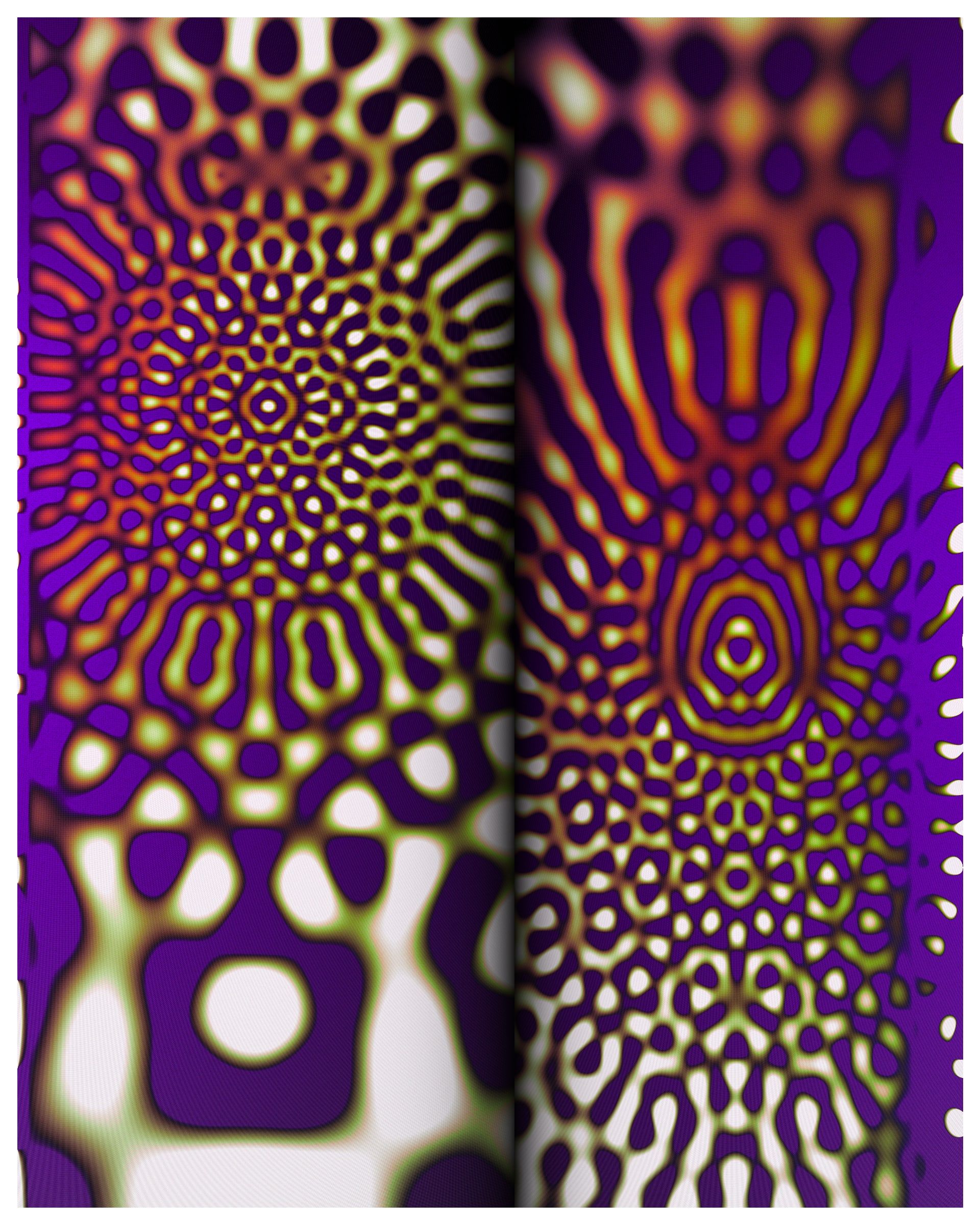 Photon's Dream #313000204