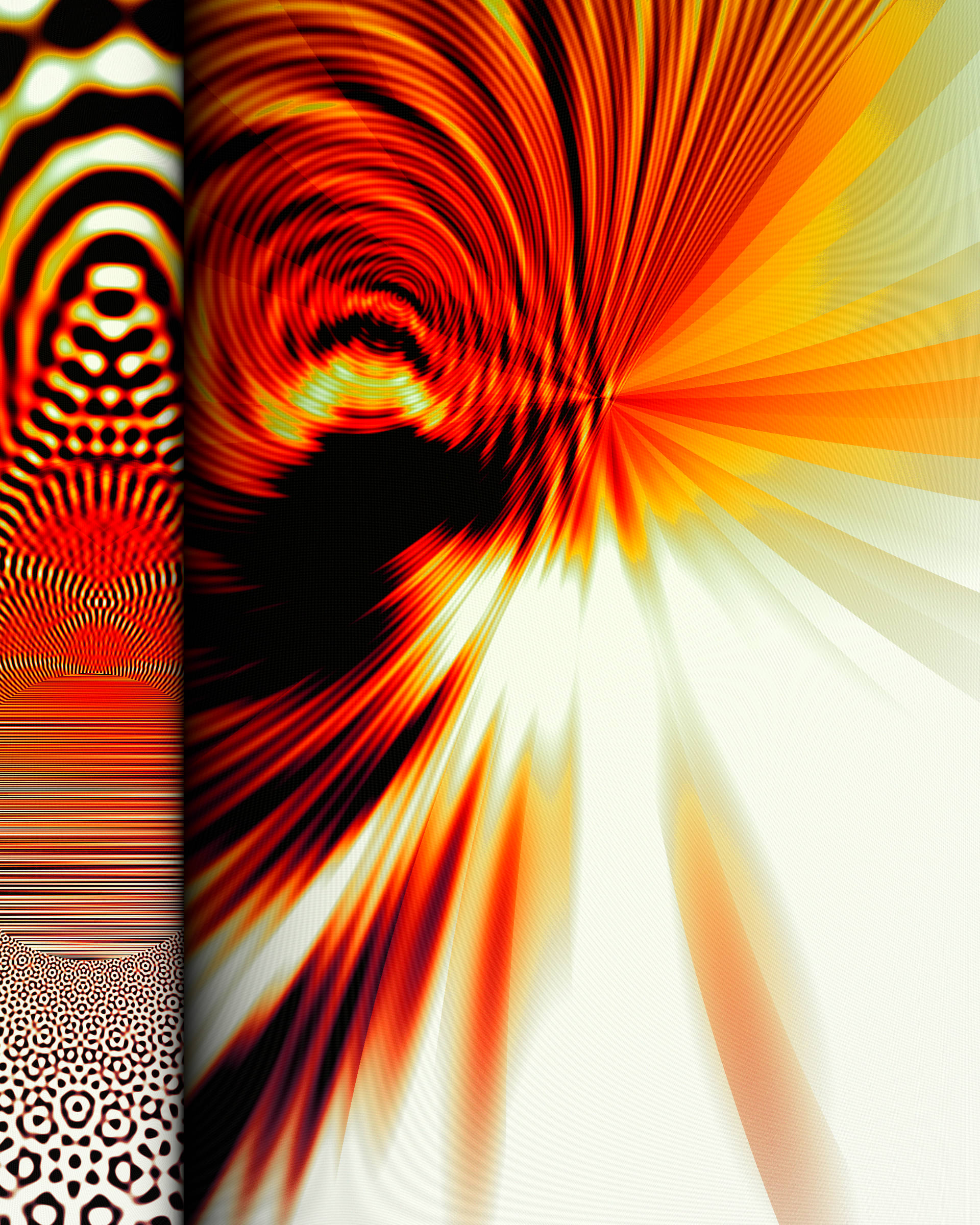 Photon's Dream #313000209