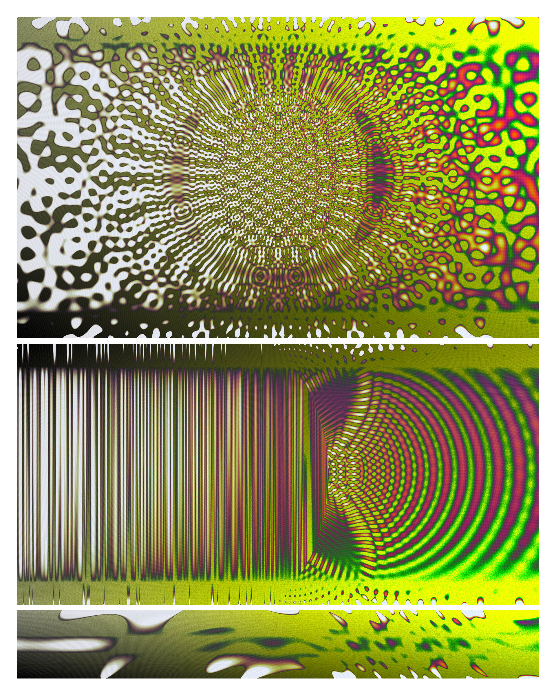 Photon's Dream #313000211