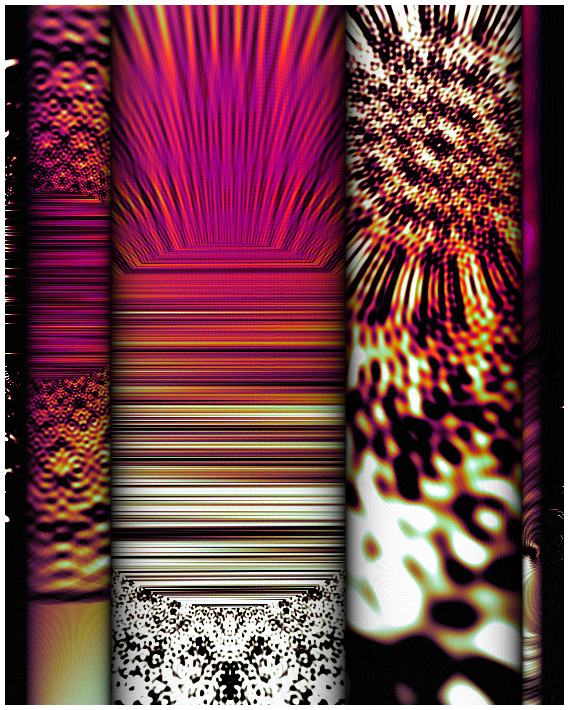 Photon's Dream #313000214