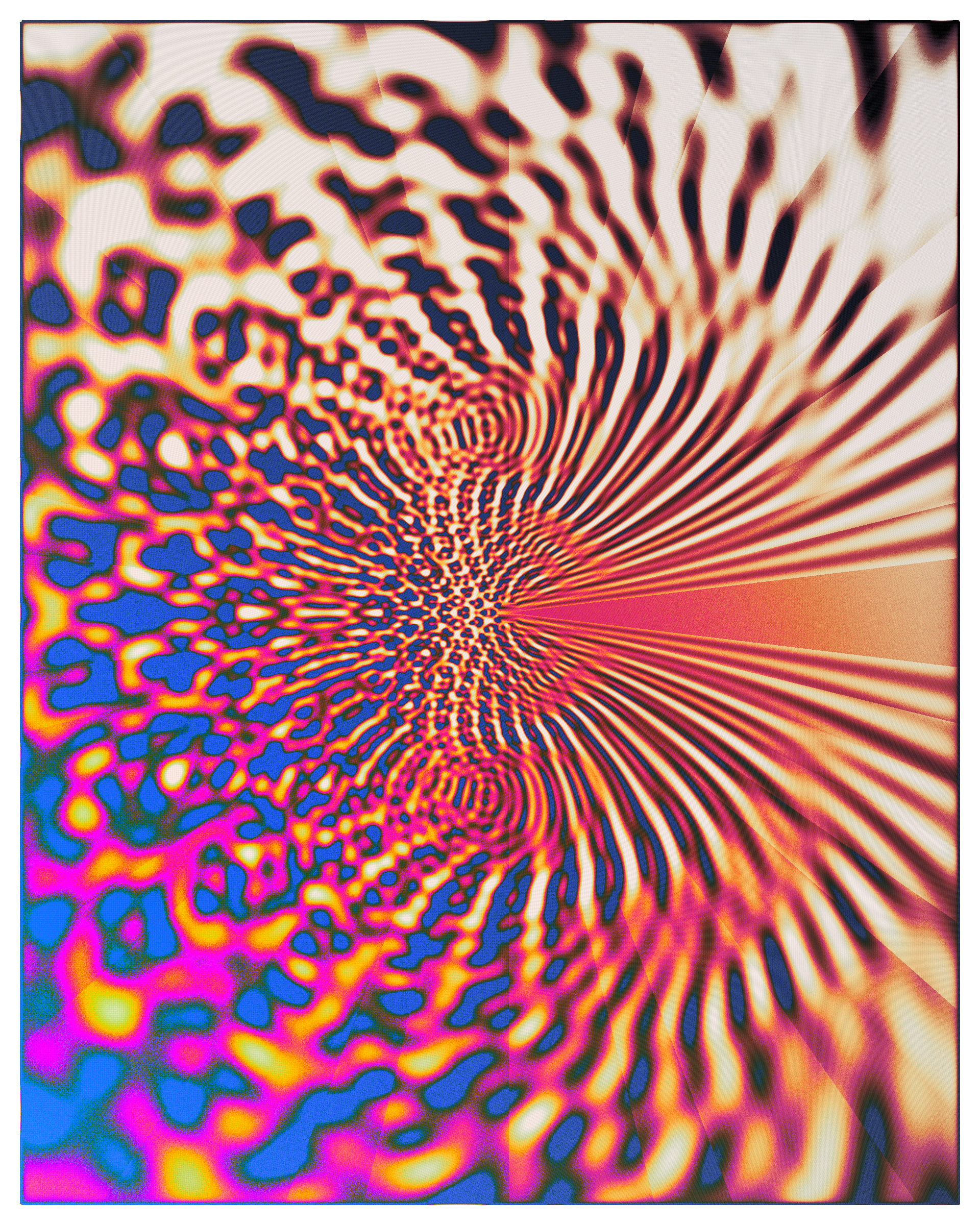Photon's Dream #313000219