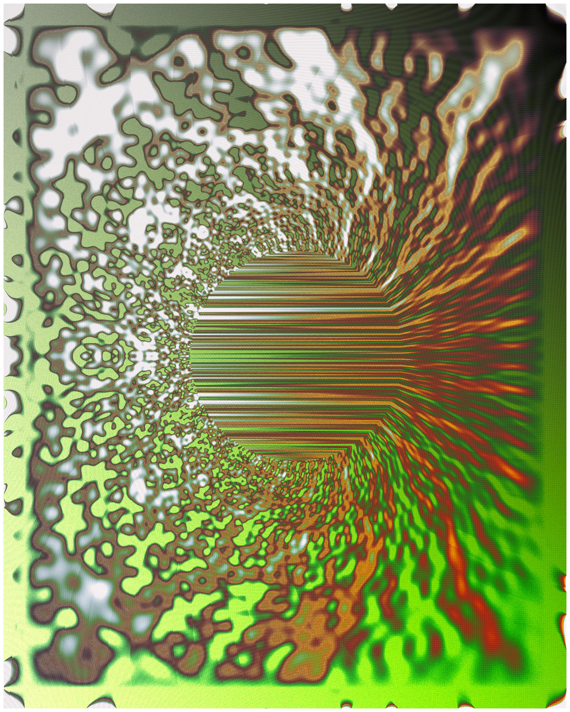 Photon's Dream #313000240