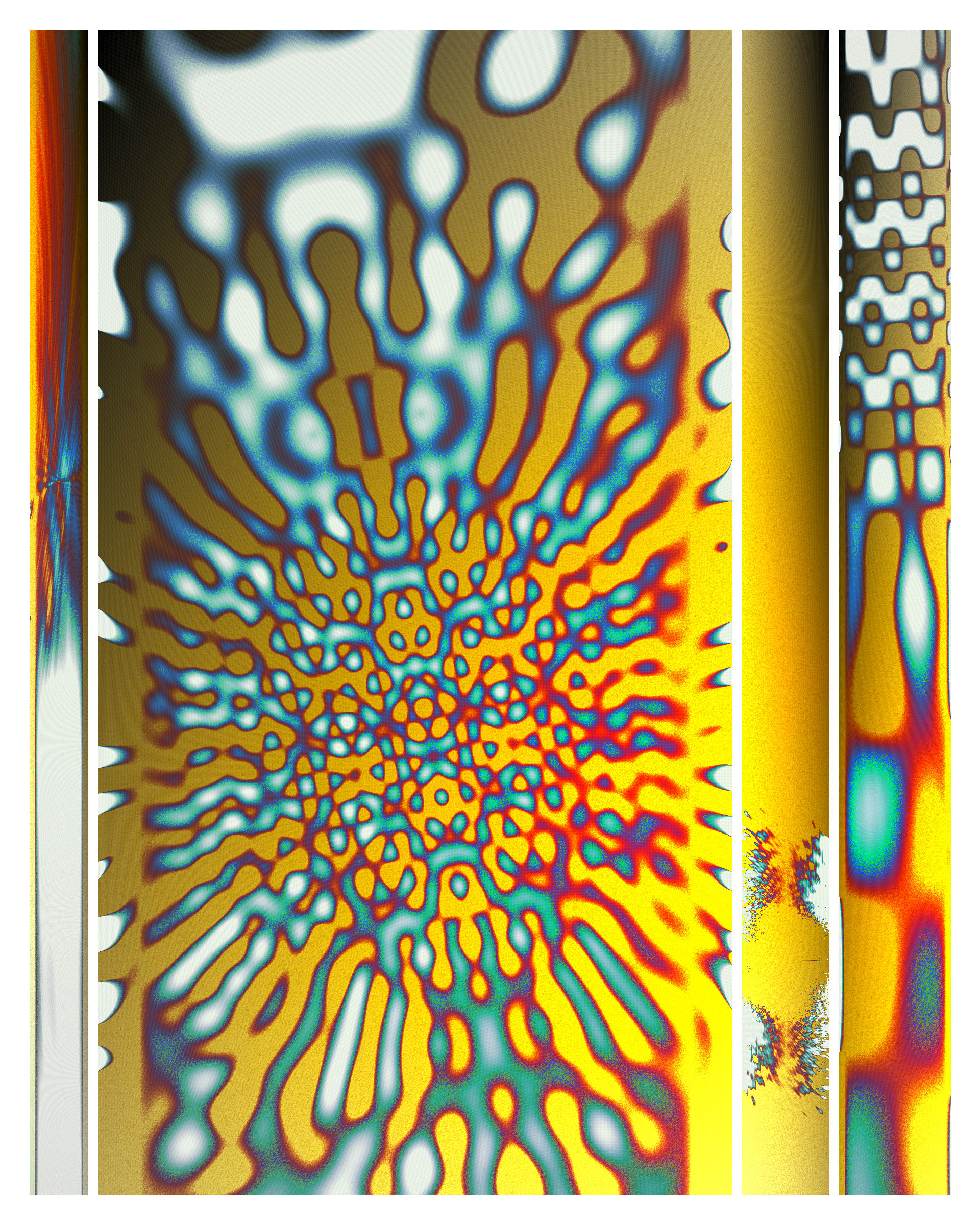 Photon's Dream #313000243