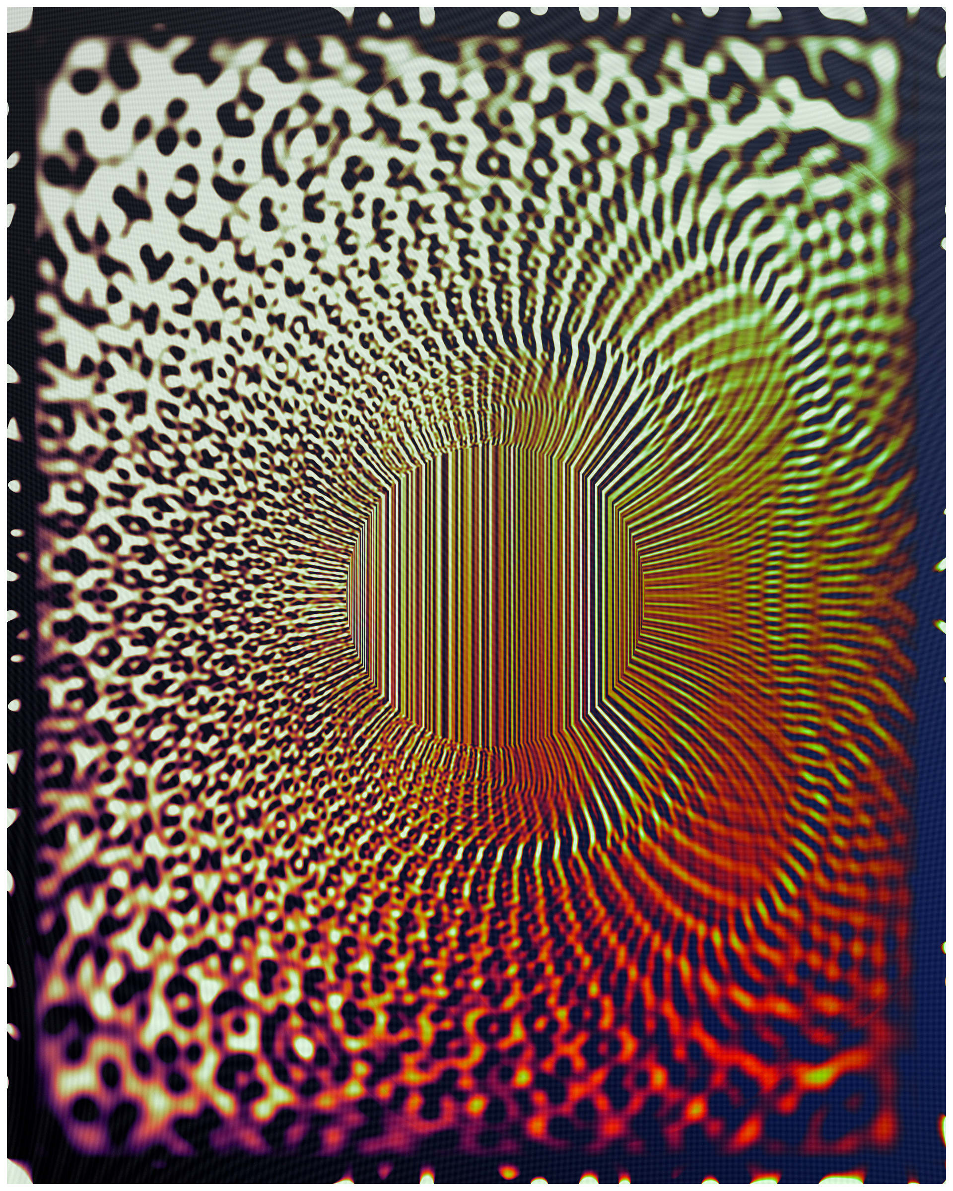 Photon's Dream #313000258