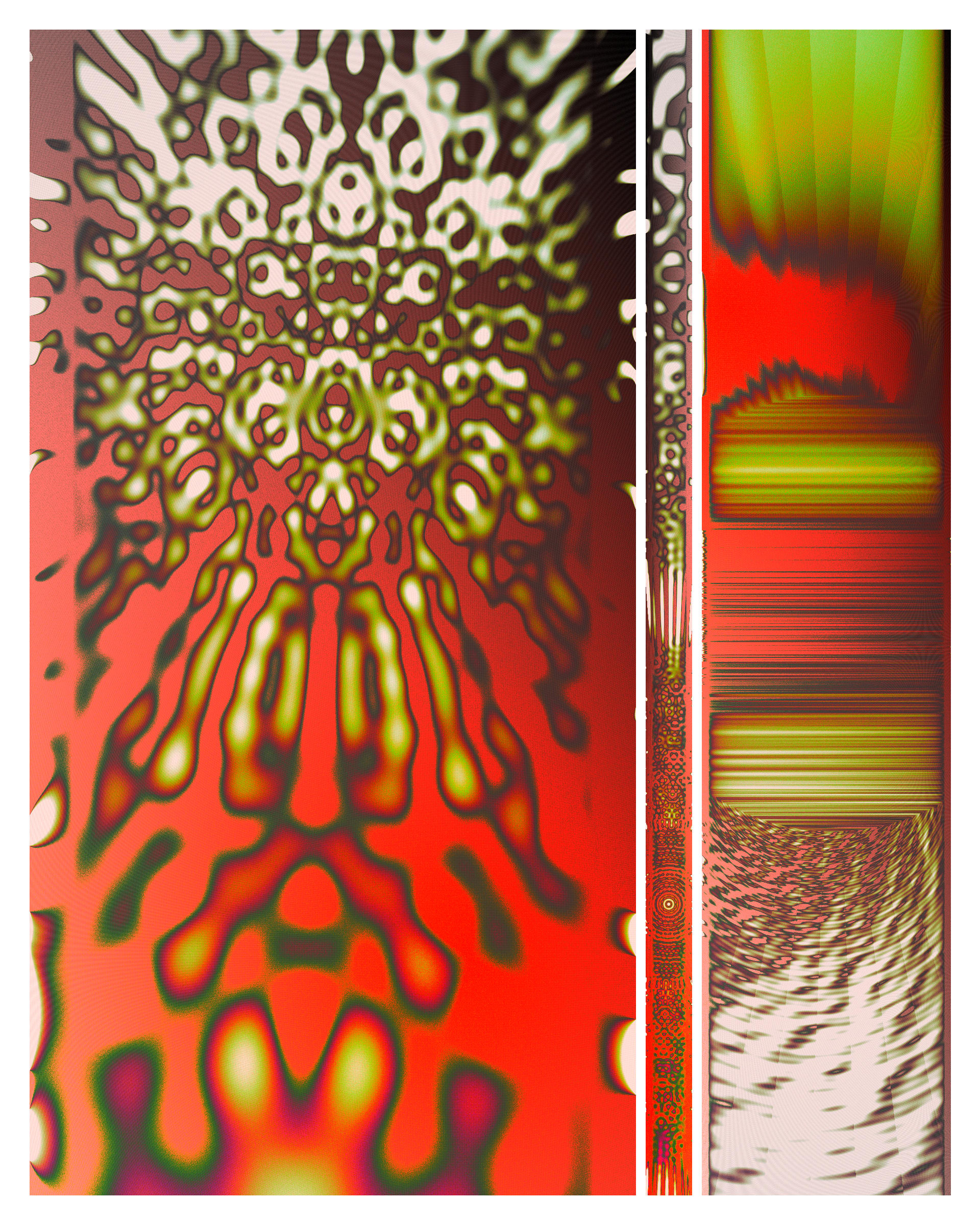 Photon's Dream #313000302