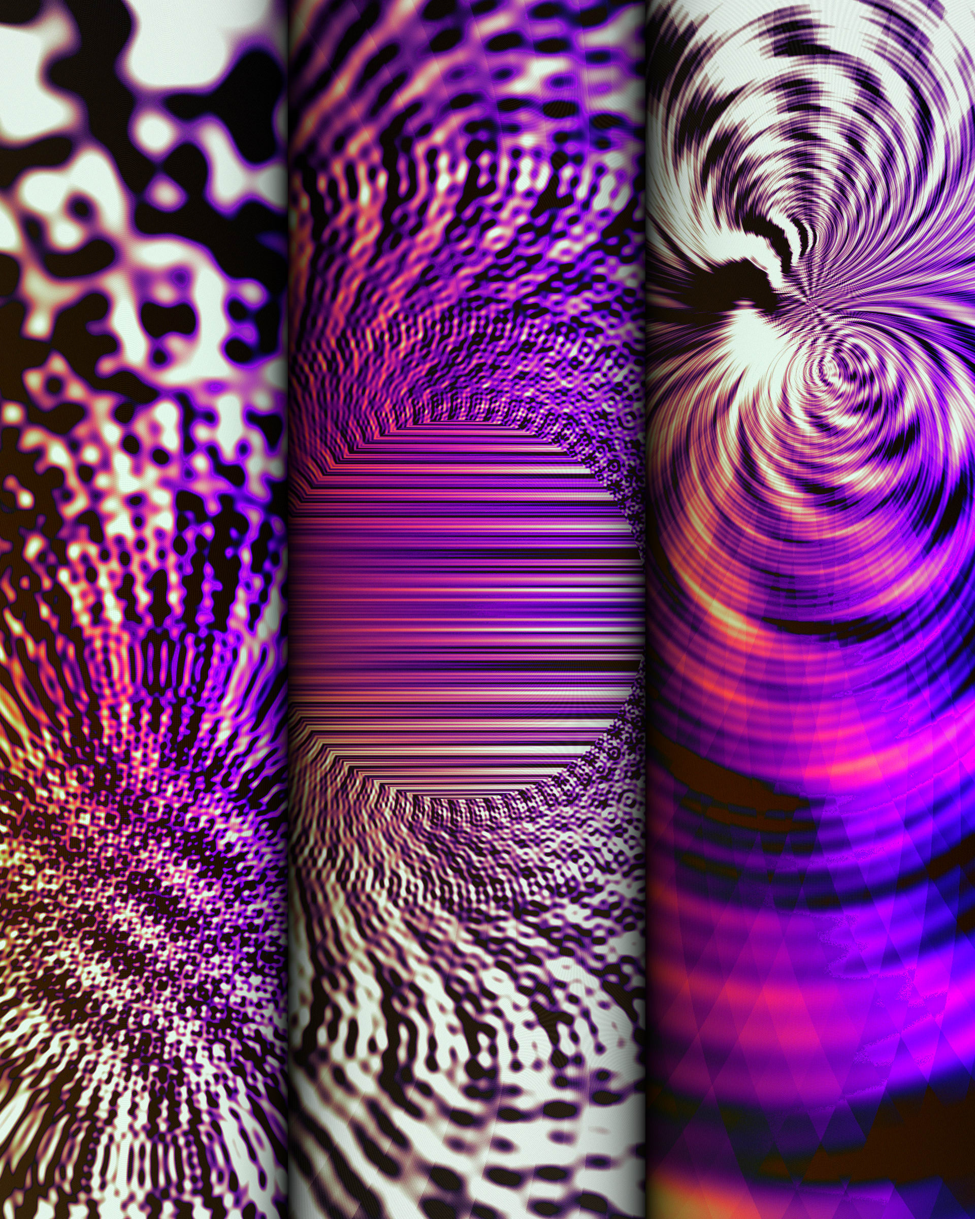 Photon's Dream #313000304