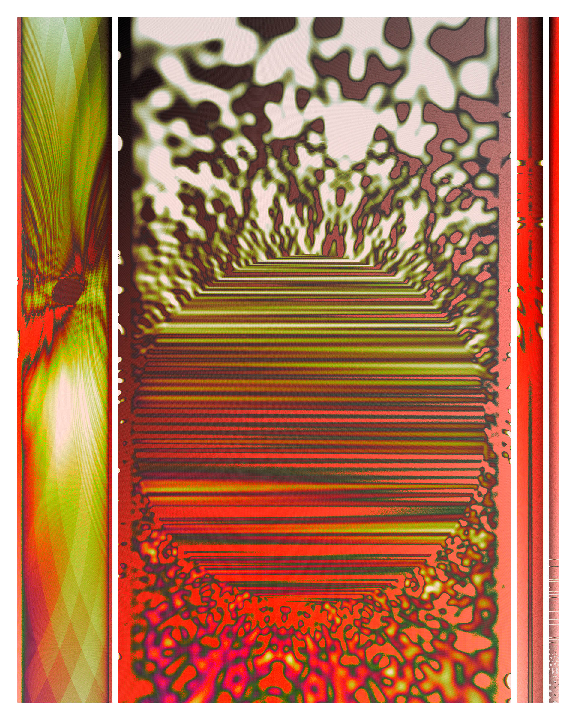 Photon's Dream #313000311