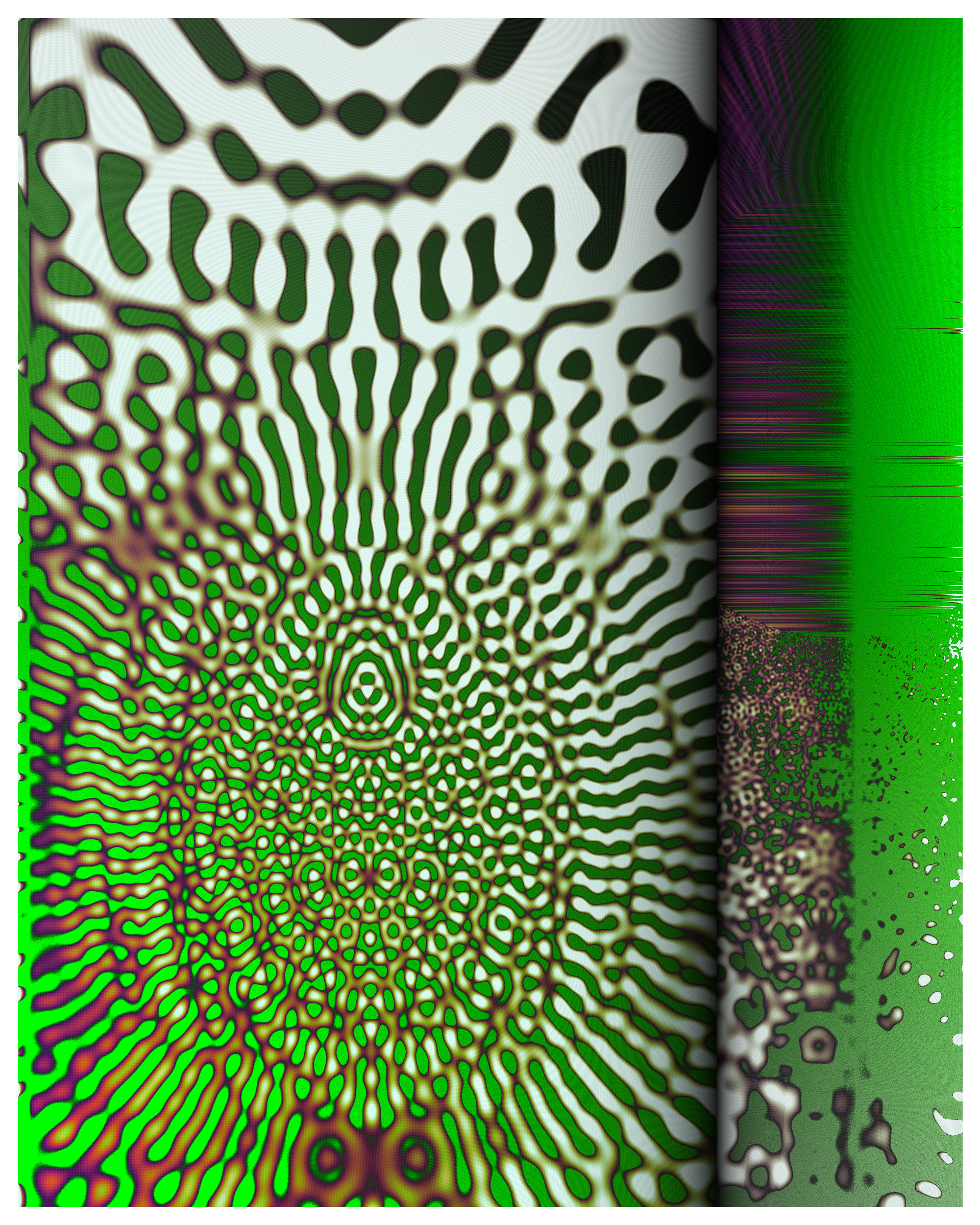 Photon's Dream #313000340