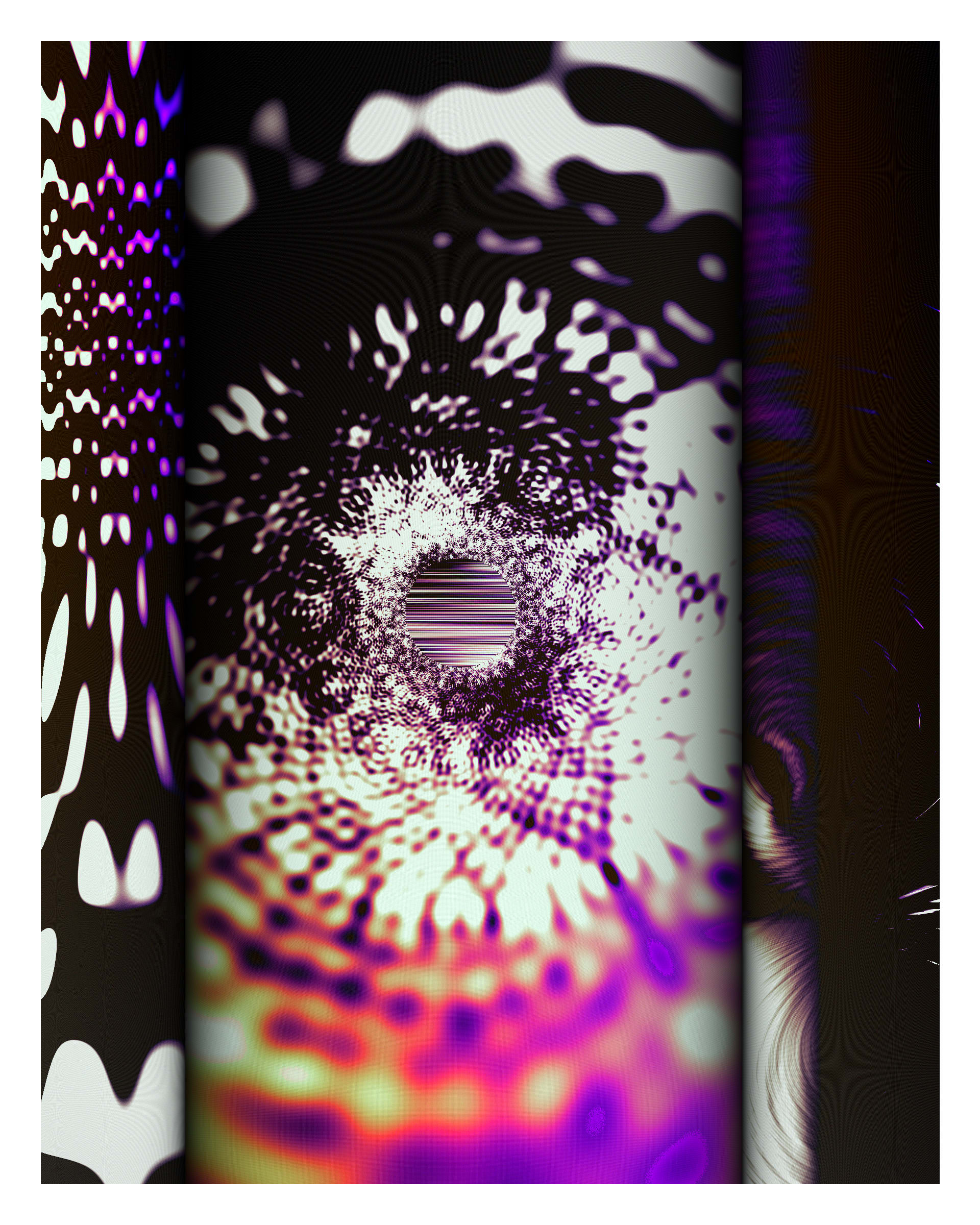 Photon's Dream #313000355