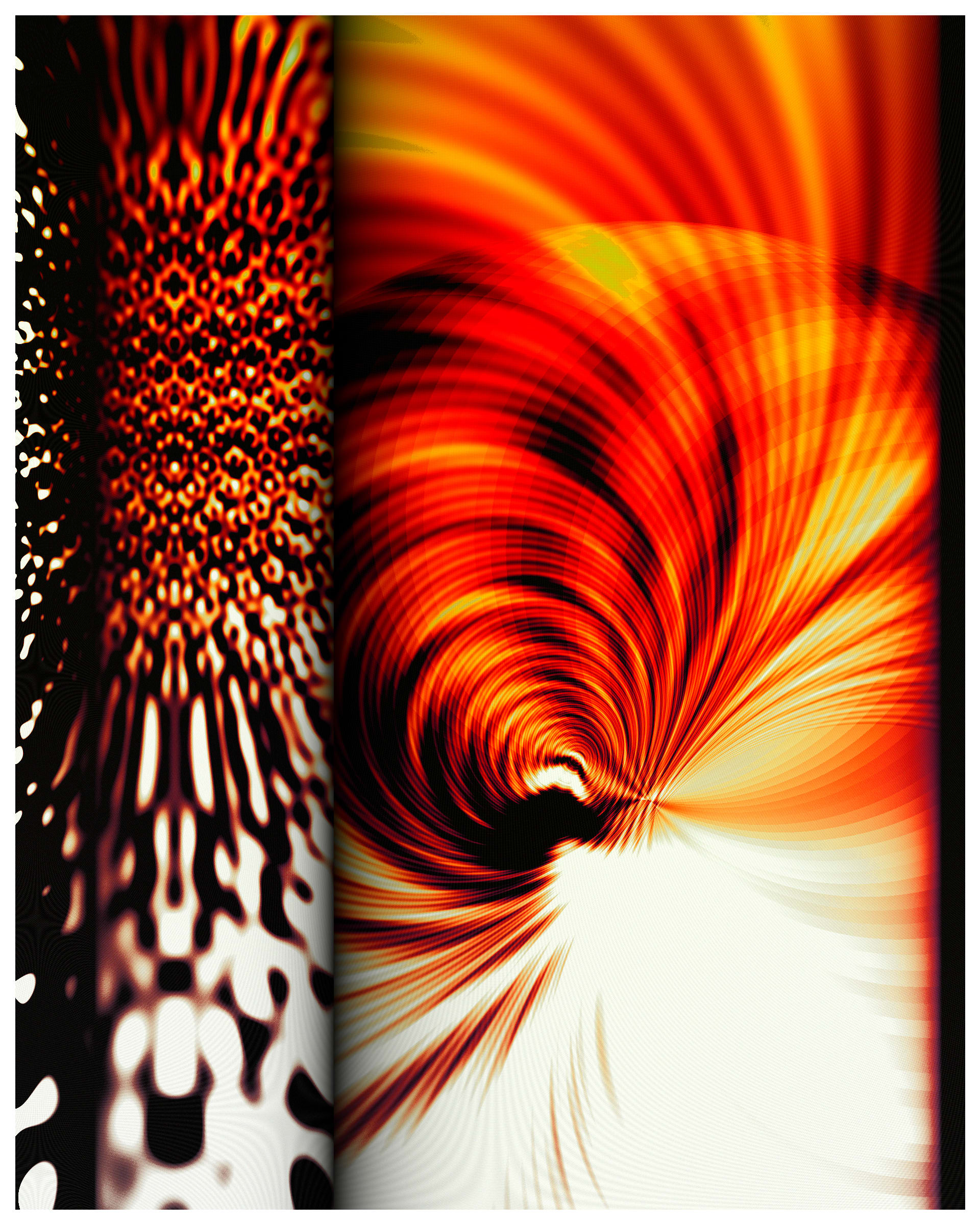 Photon's Dream #313000365