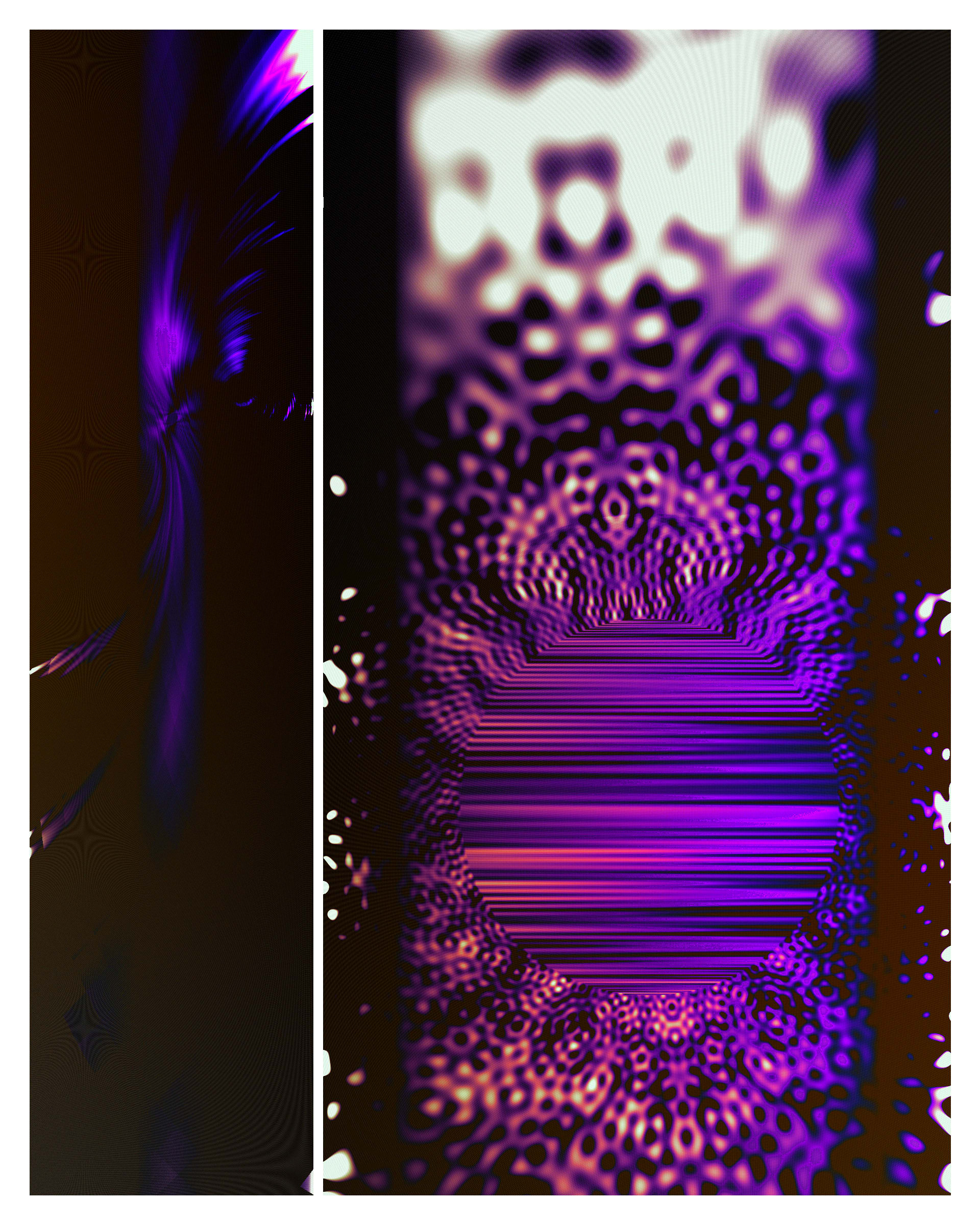 Photon's Dream #313000376