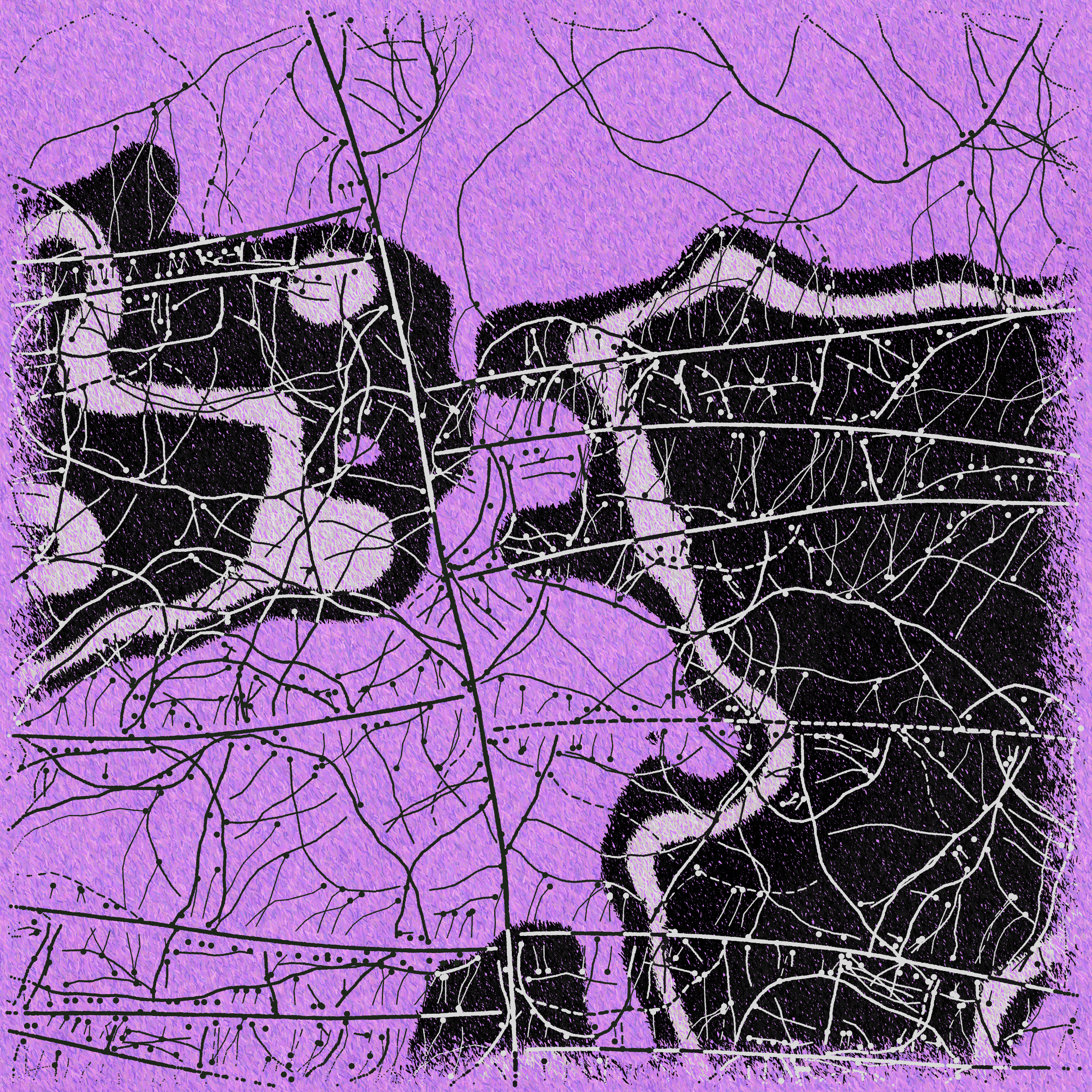 Maps of Nothing #316000002