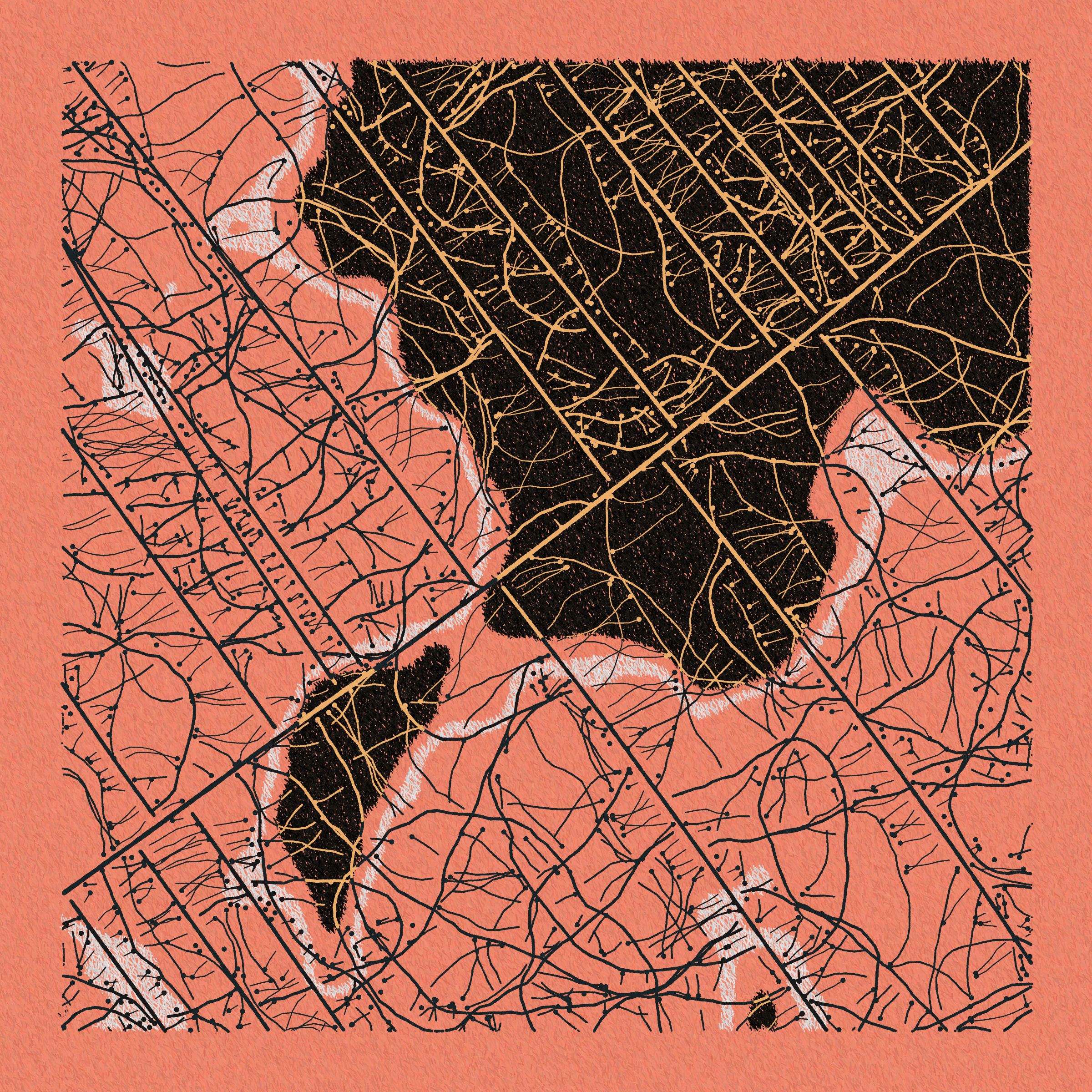 Maps of Nothing #316000351