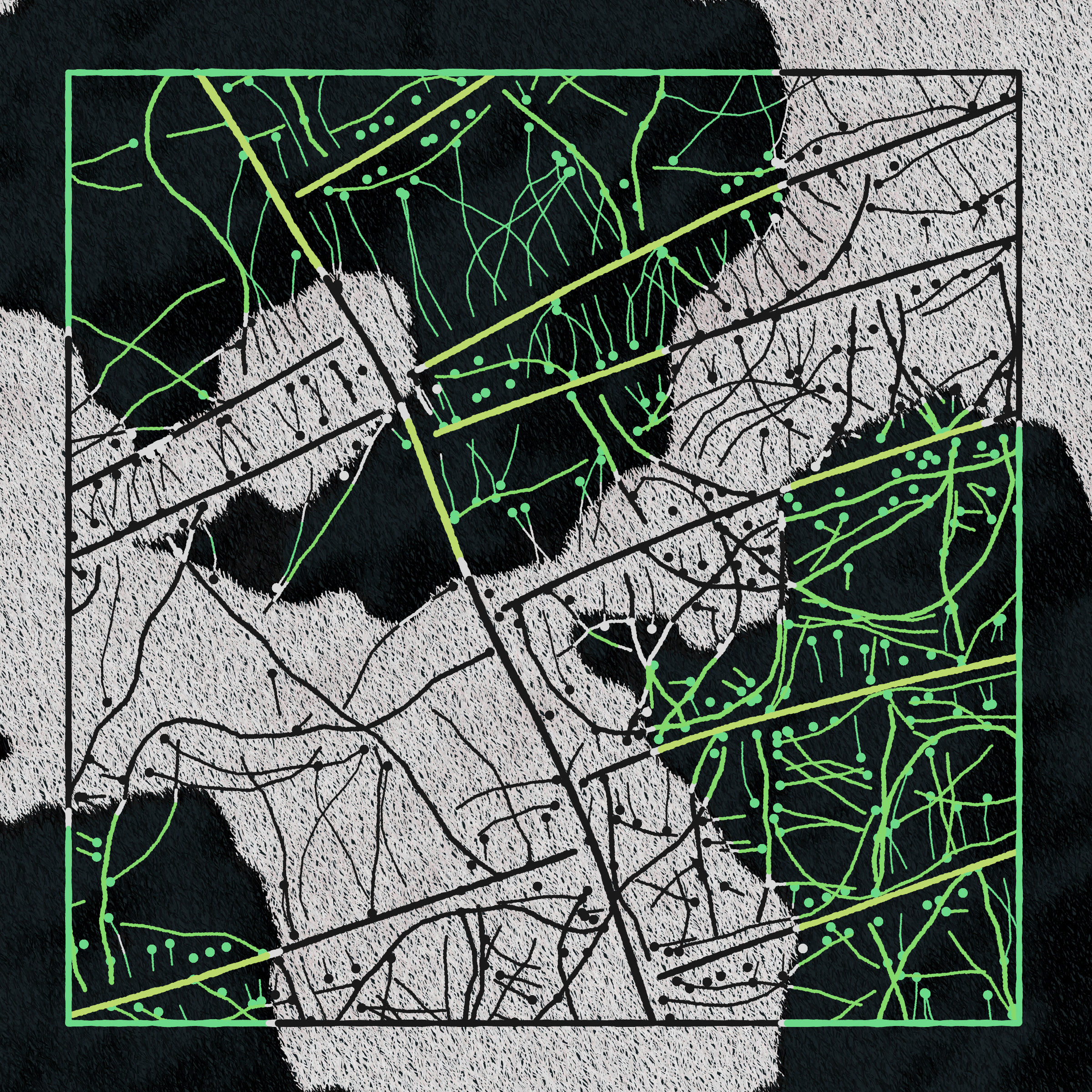 Maps of Nothing #316000570