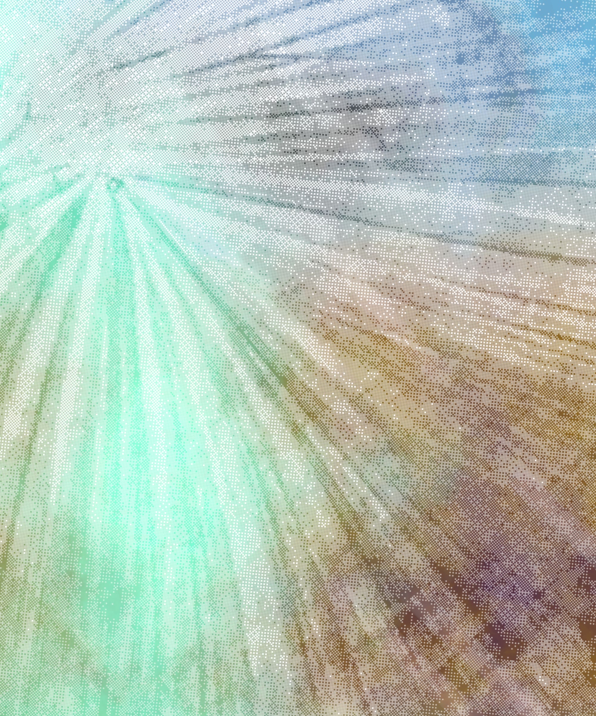 the spring begins with the first rainstorm preview 3