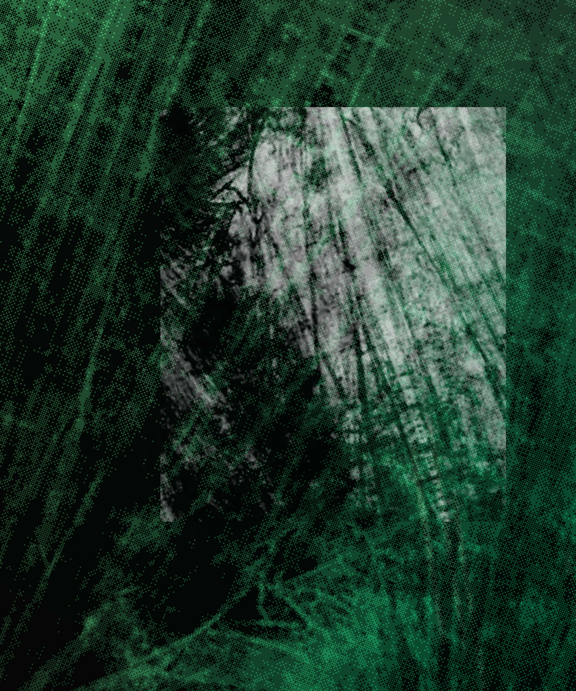 the spring begins with the first rainstorm preview 6