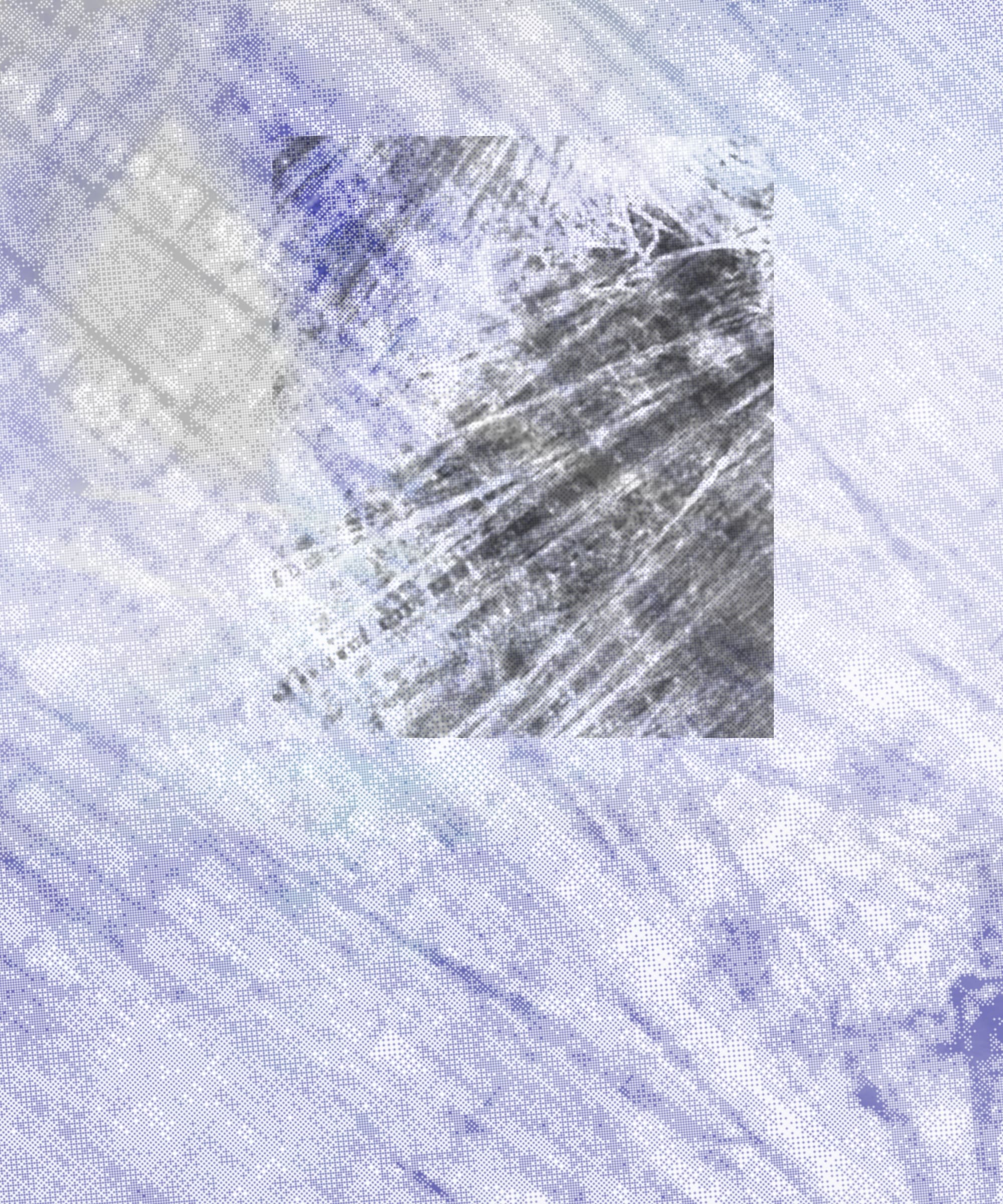 Featured token for: the spring begins with the first rainstorm