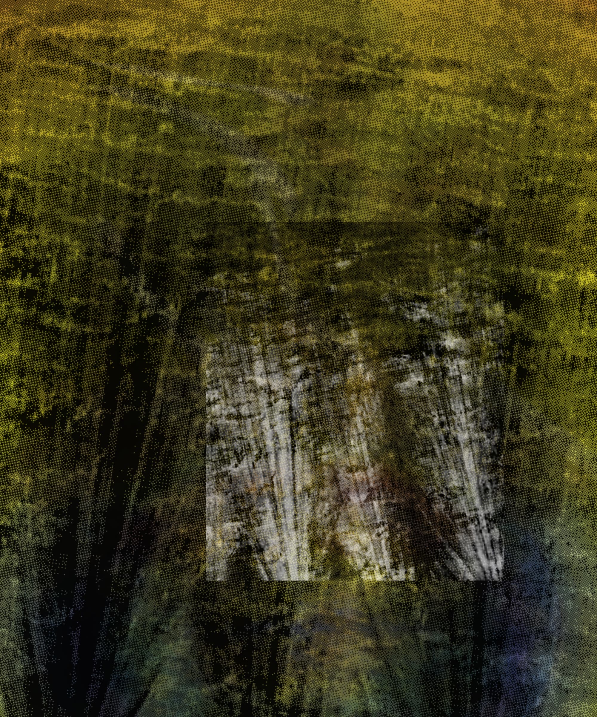 Featured token for: the spring begins with the first rainstorm