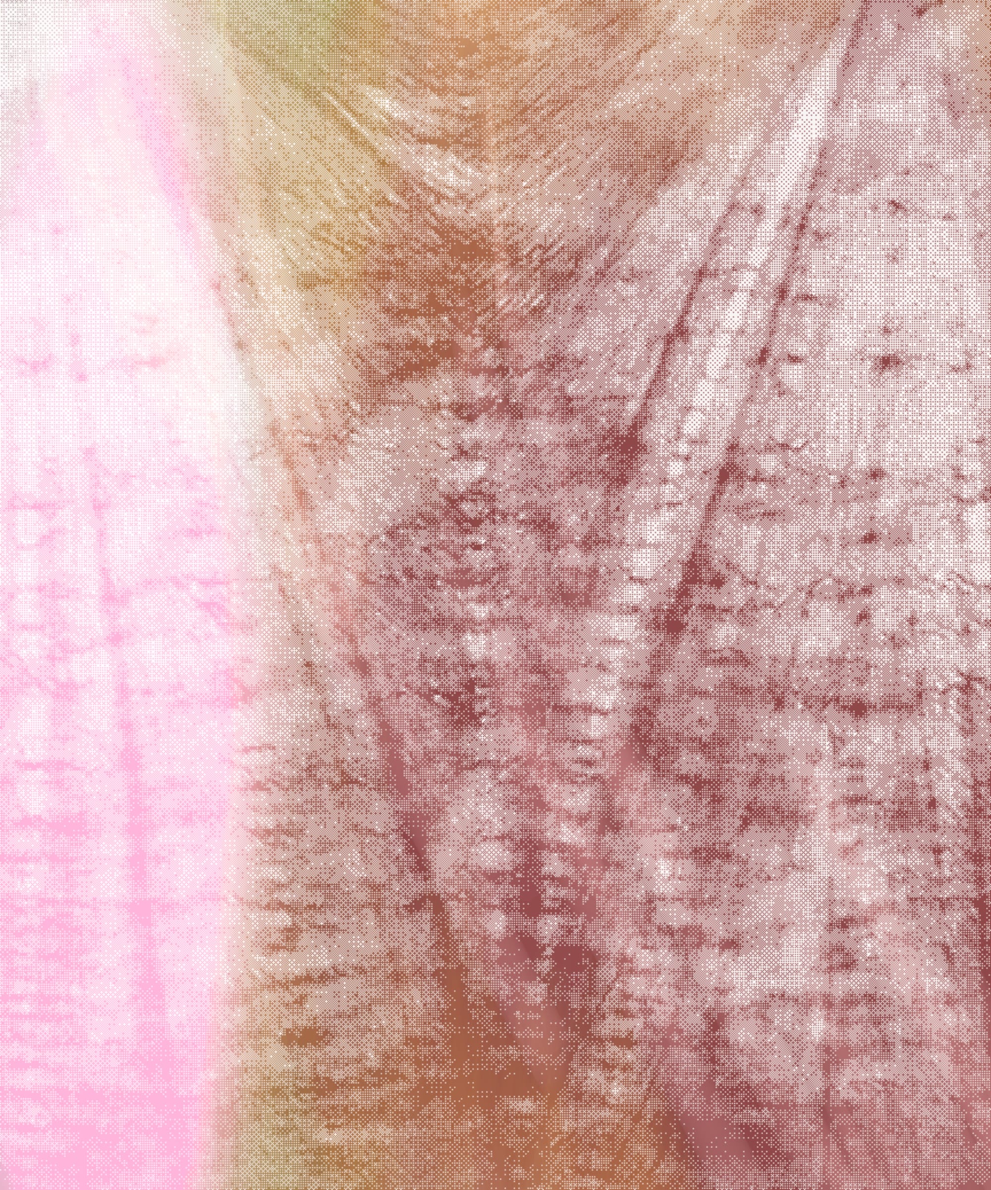 Featured token for: the spring begins with the first rainstorm