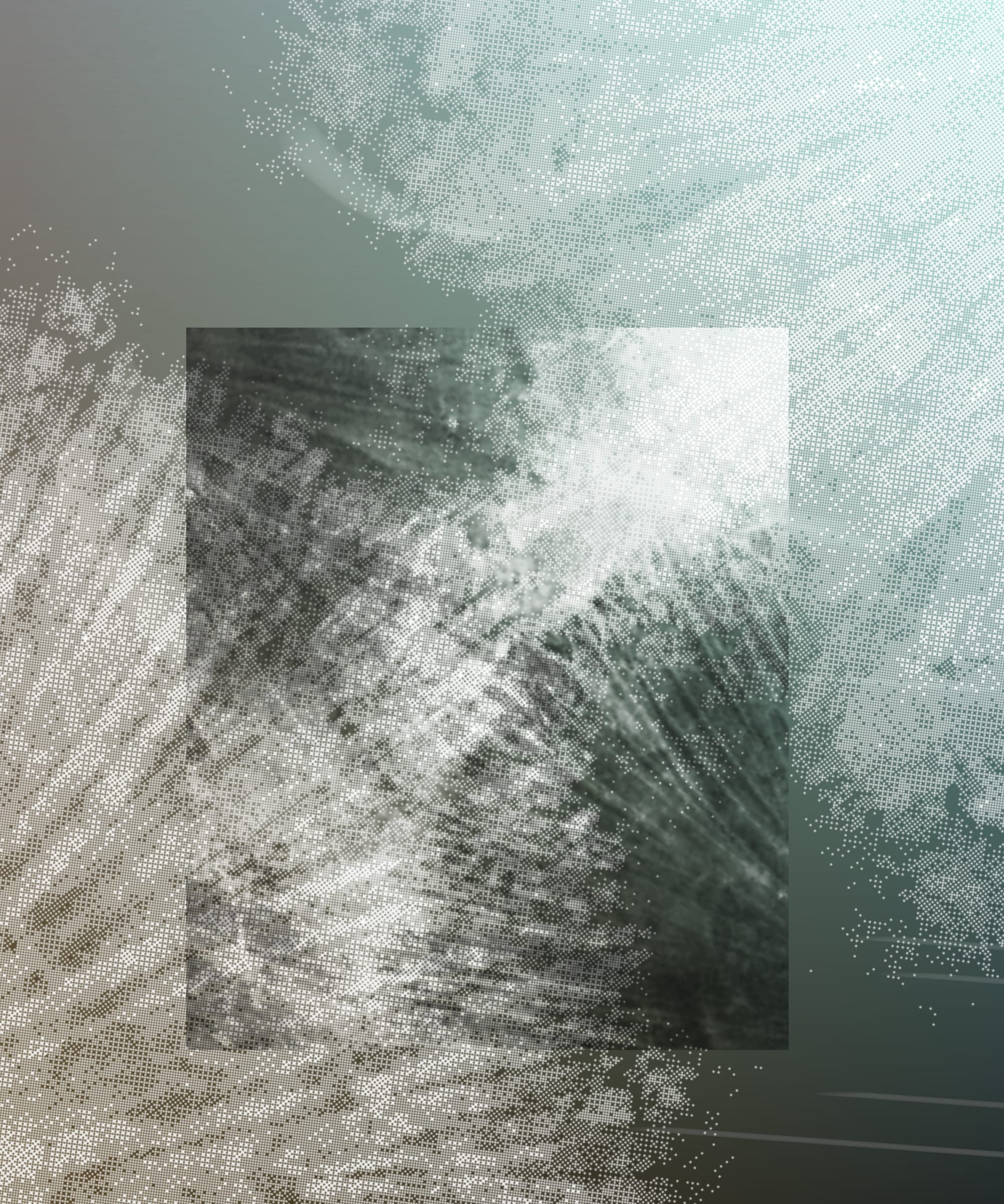 Featured token for: the spring begins with the first rainstorm