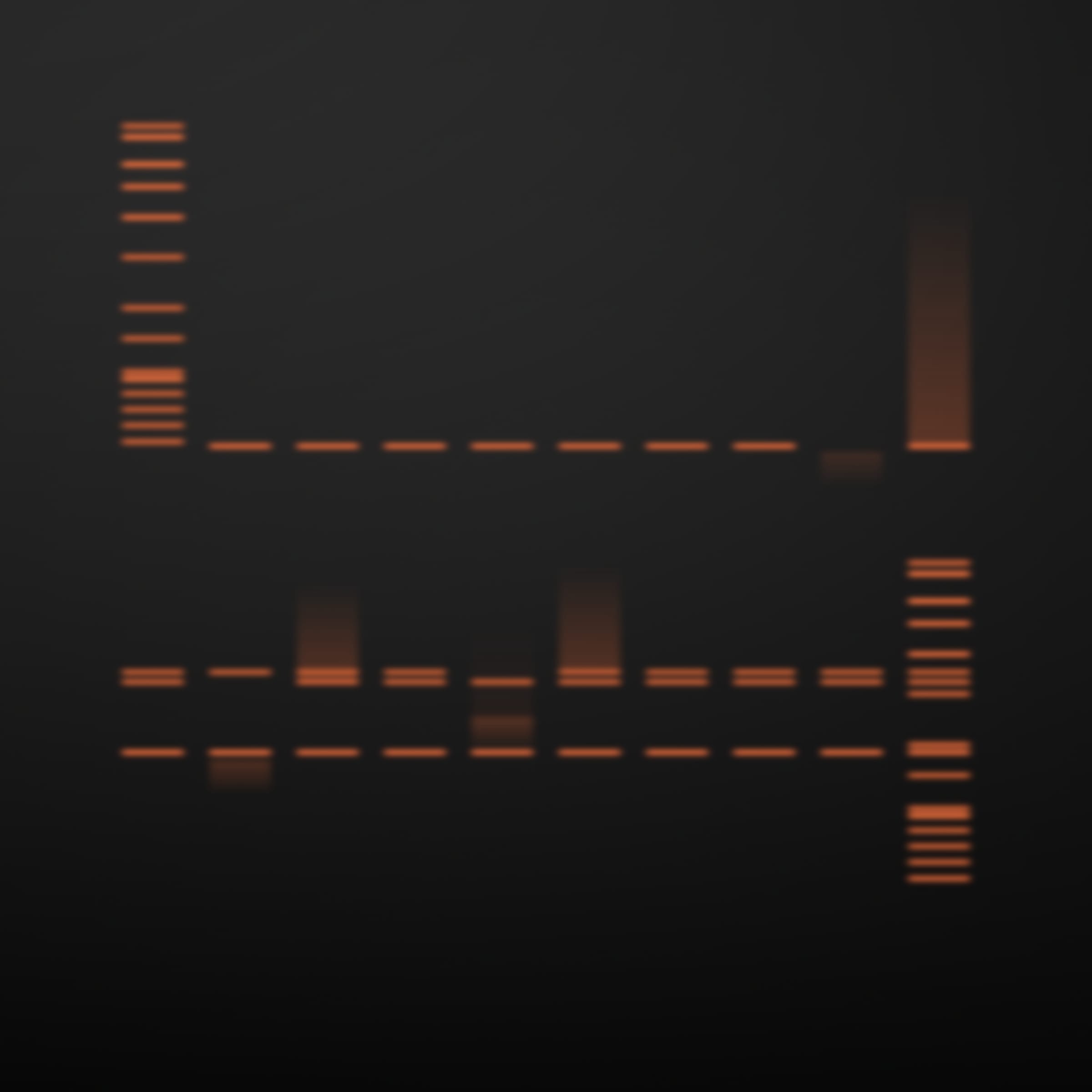 322000024