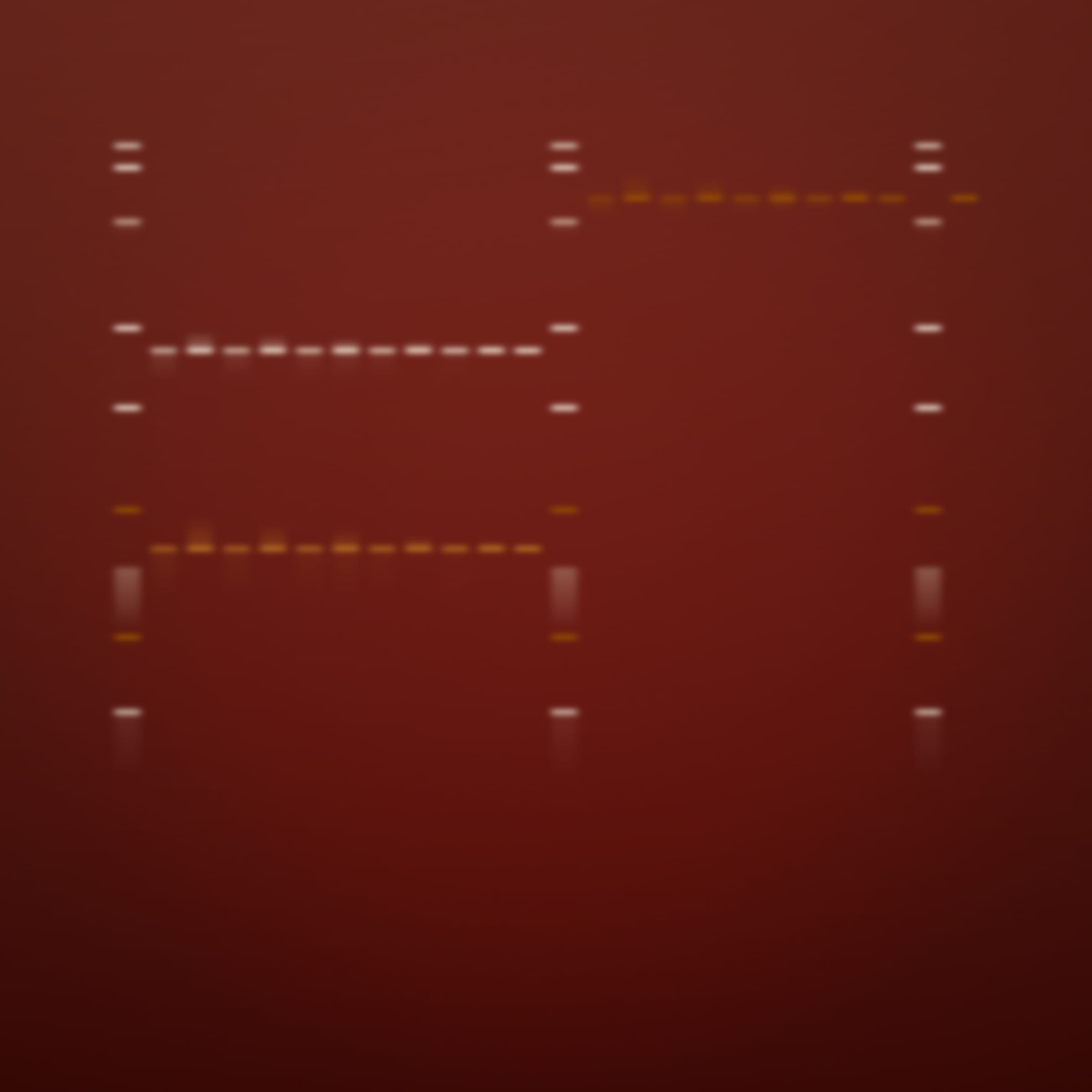322000042