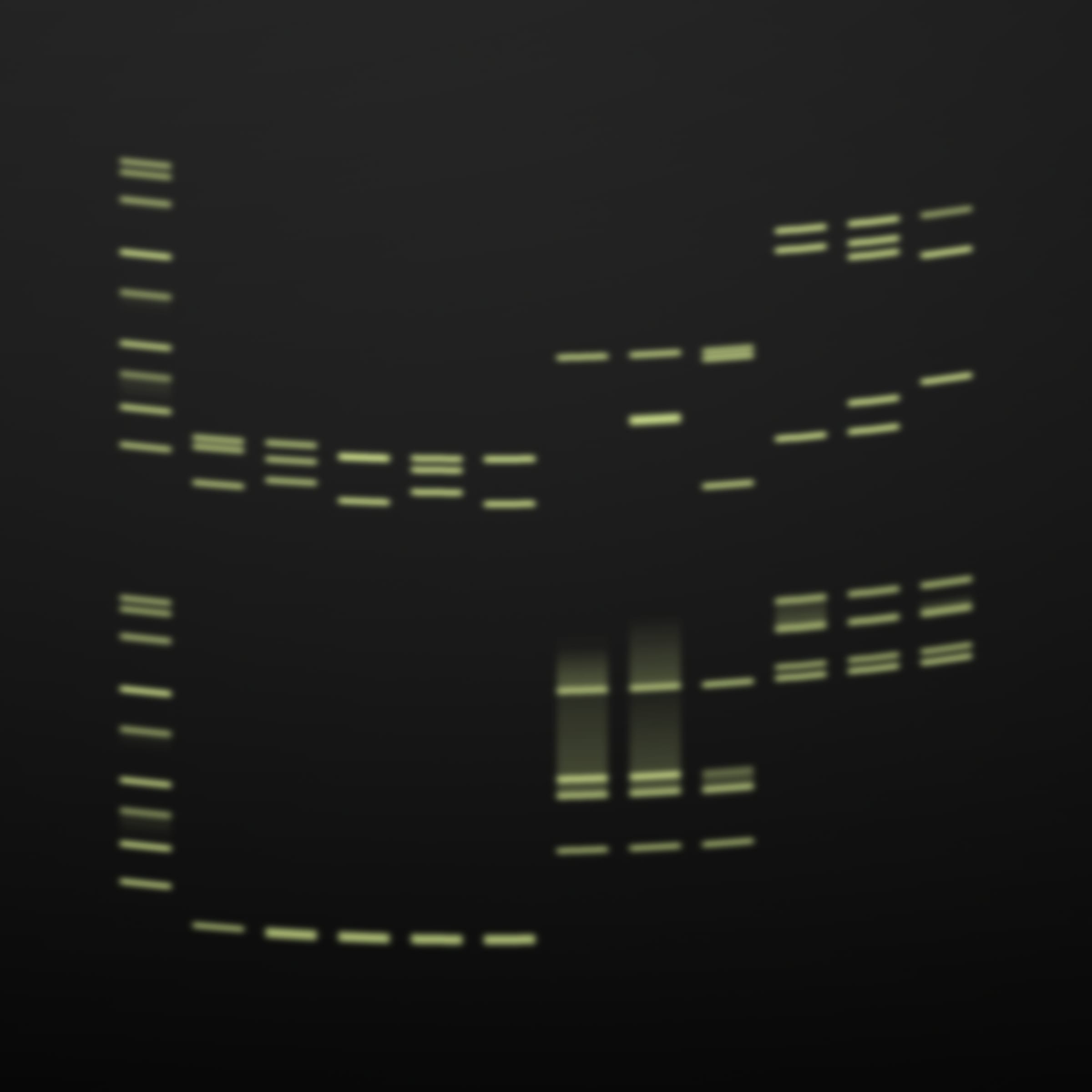 322000054
