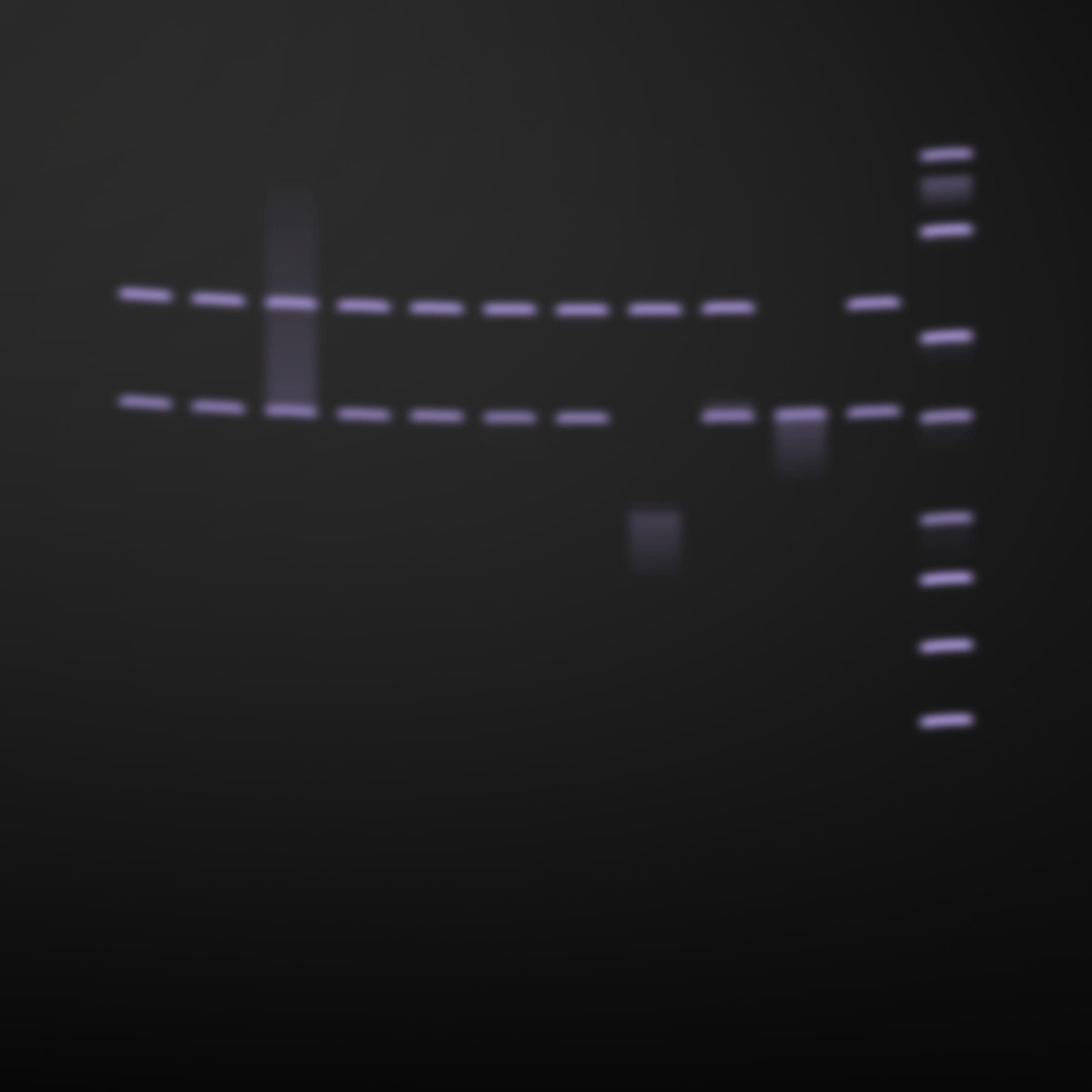 322000097