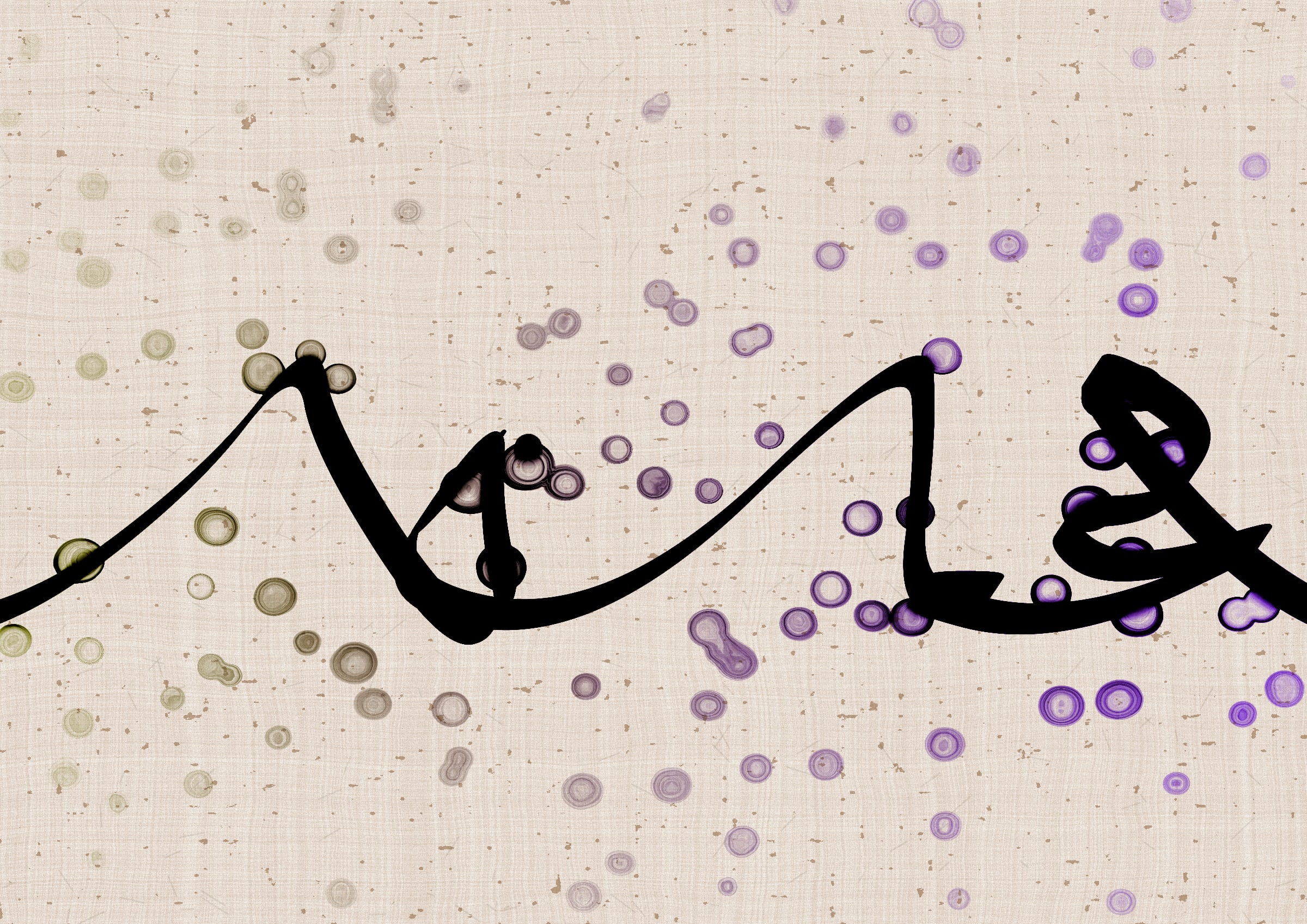 Sudfah #328000042