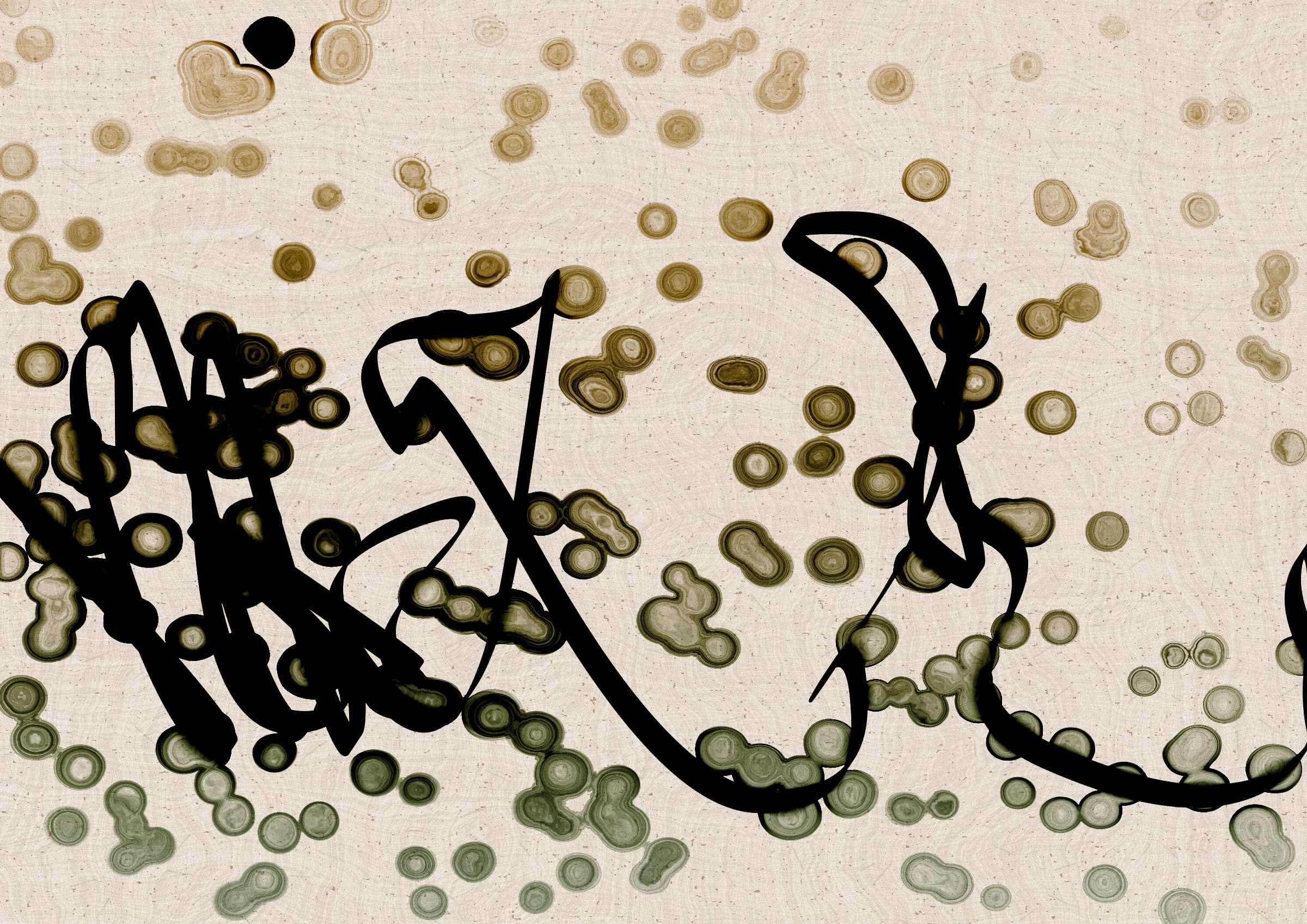 Sudfah #328000210