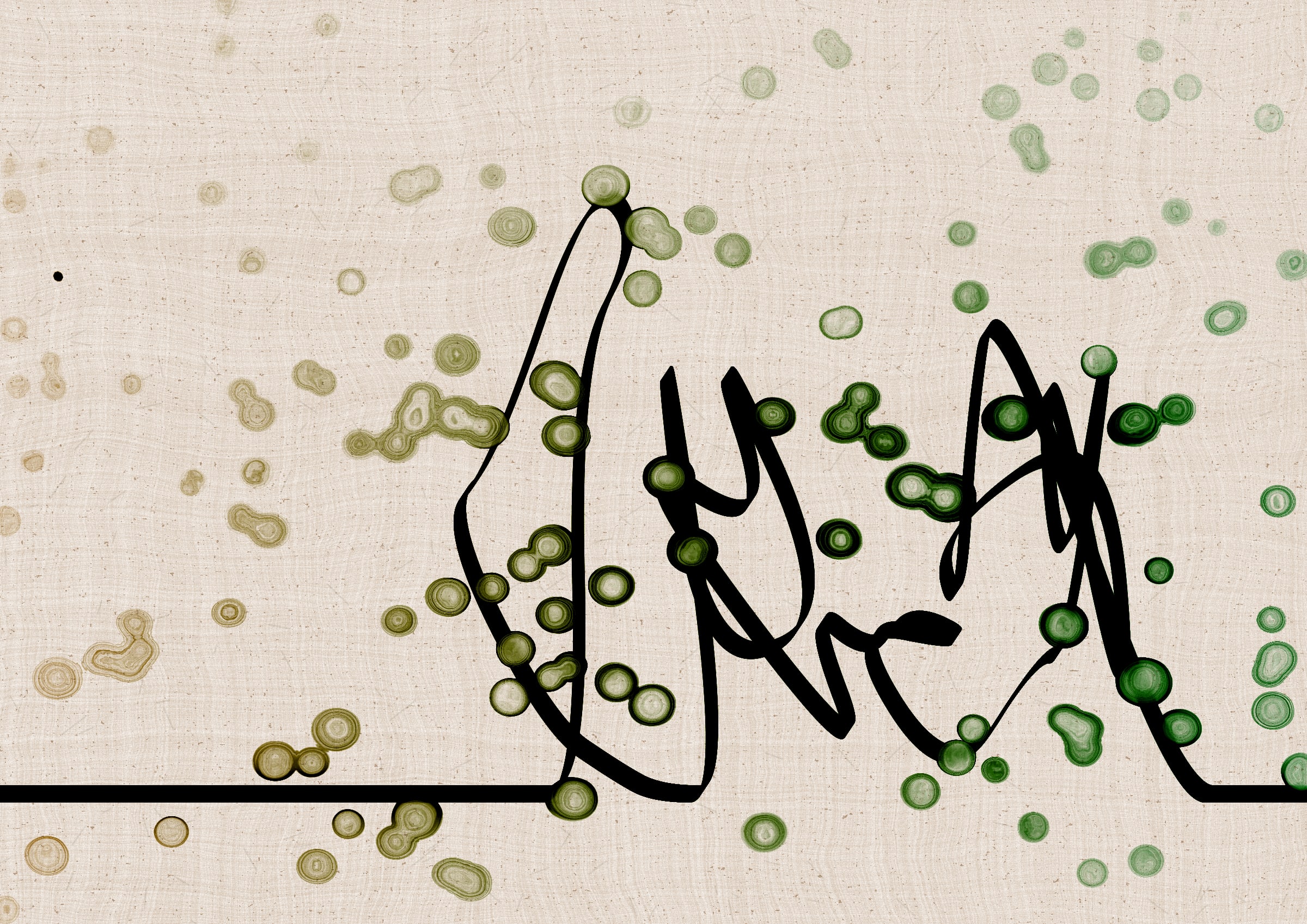 Sudfah #328000305