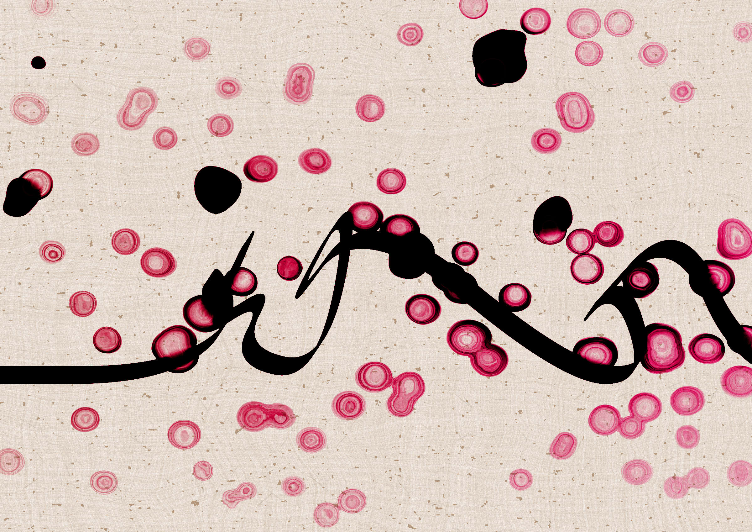 Sudfah #328000335