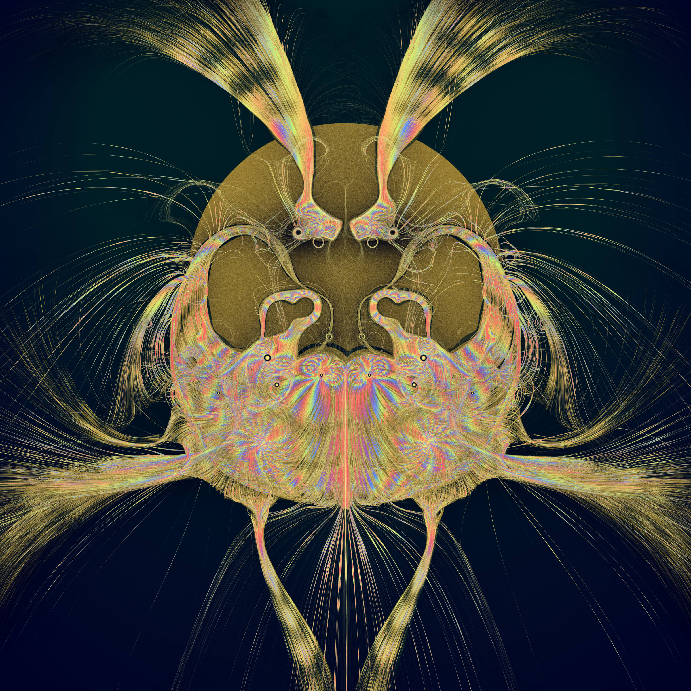 Latent Spirits